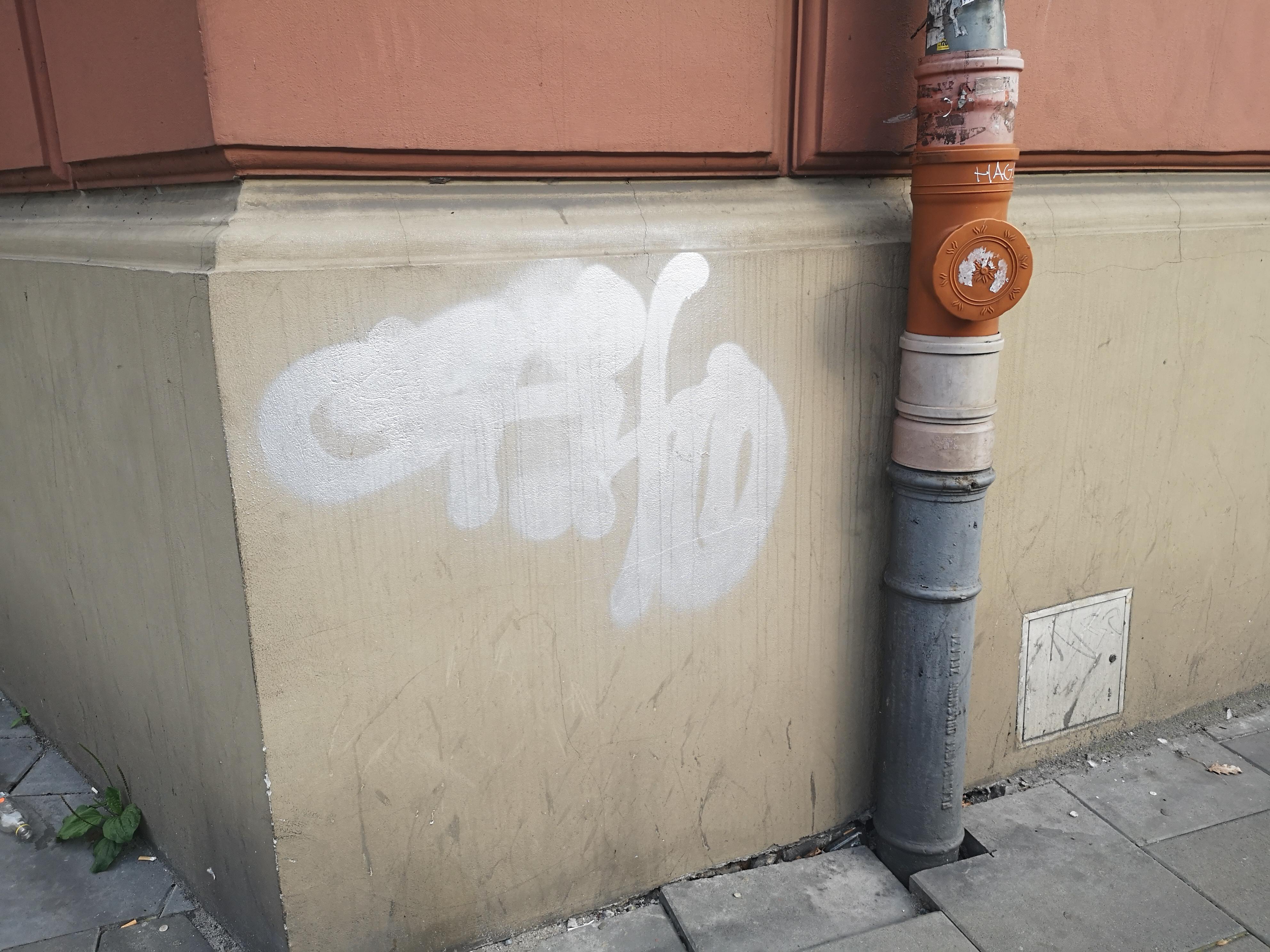 Zdjęcie przed zamalowaniem