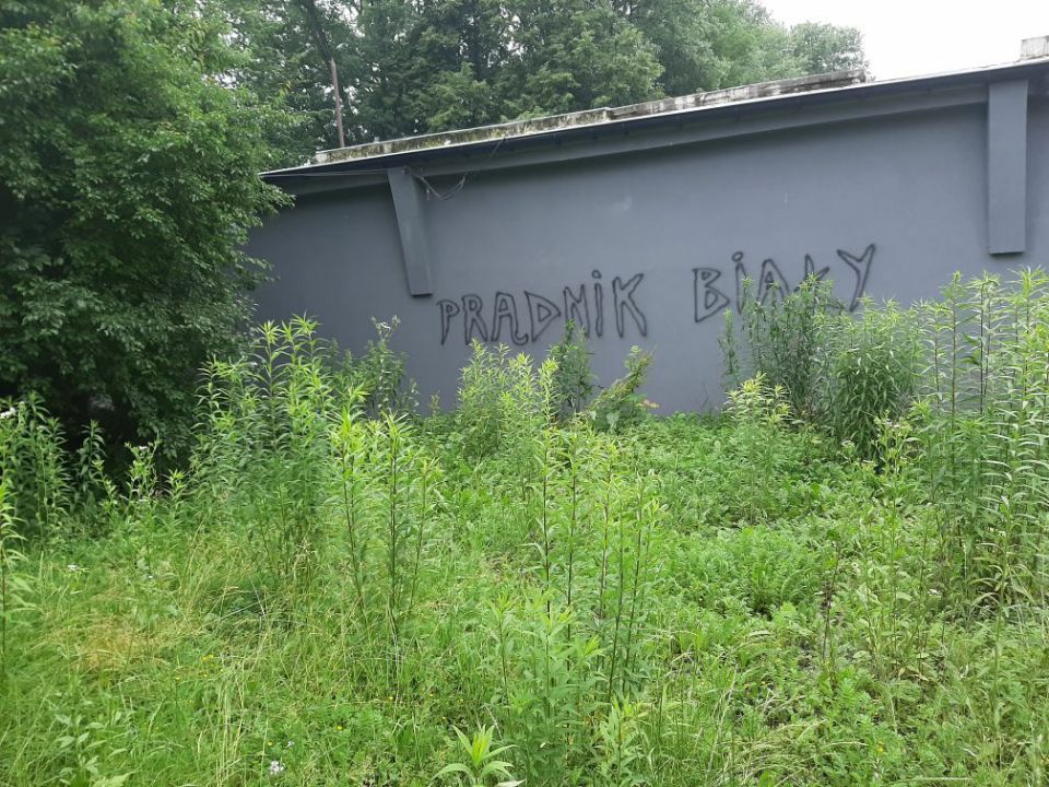 Zdjęcie przed zamalowaniem