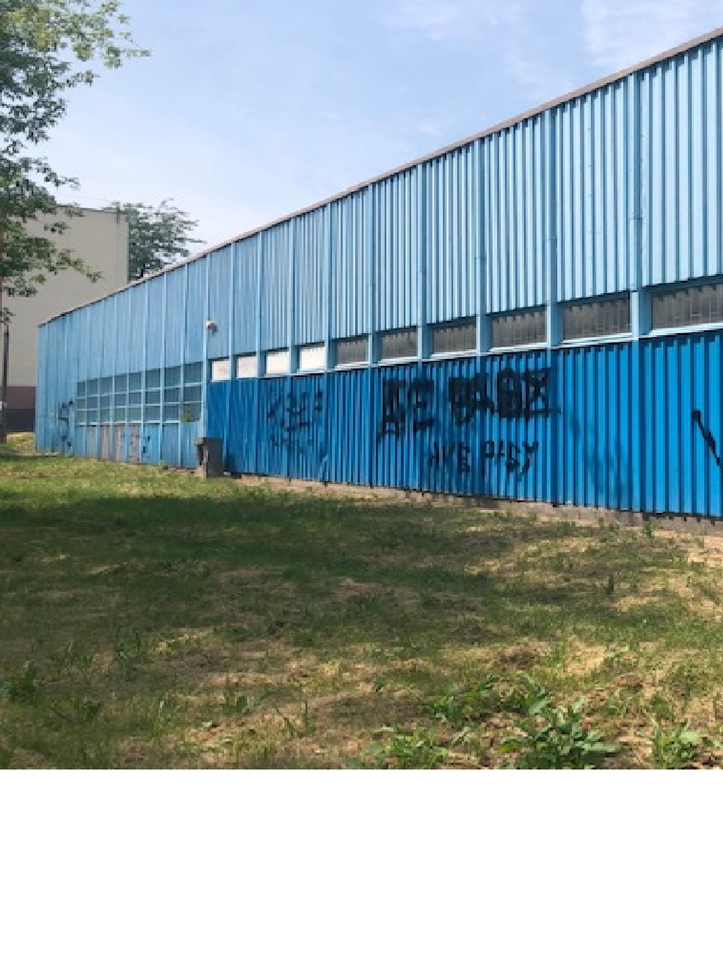 Zdjęcie przed zamalowaniem