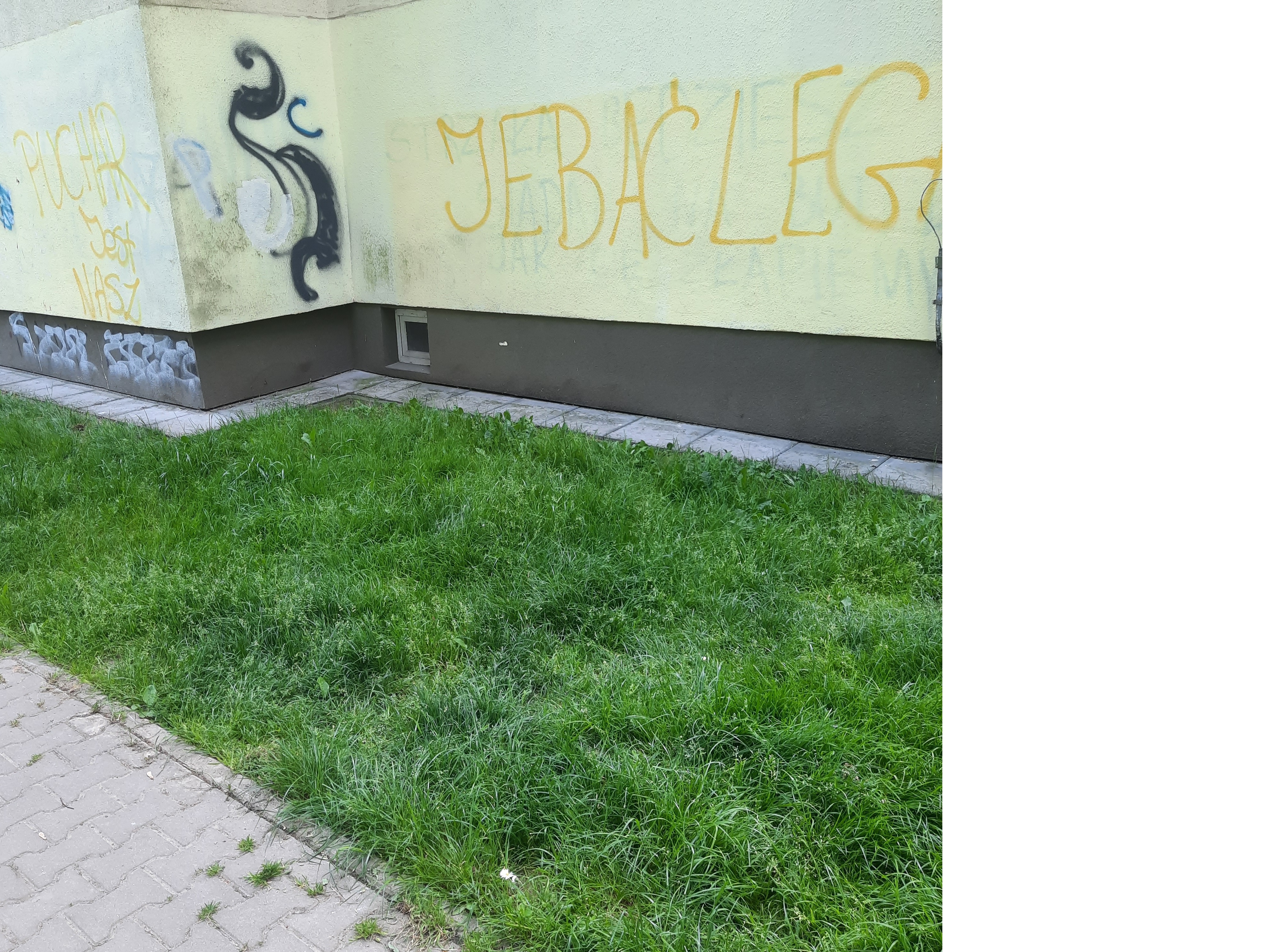 Zdjęcie przed zamalowaniem