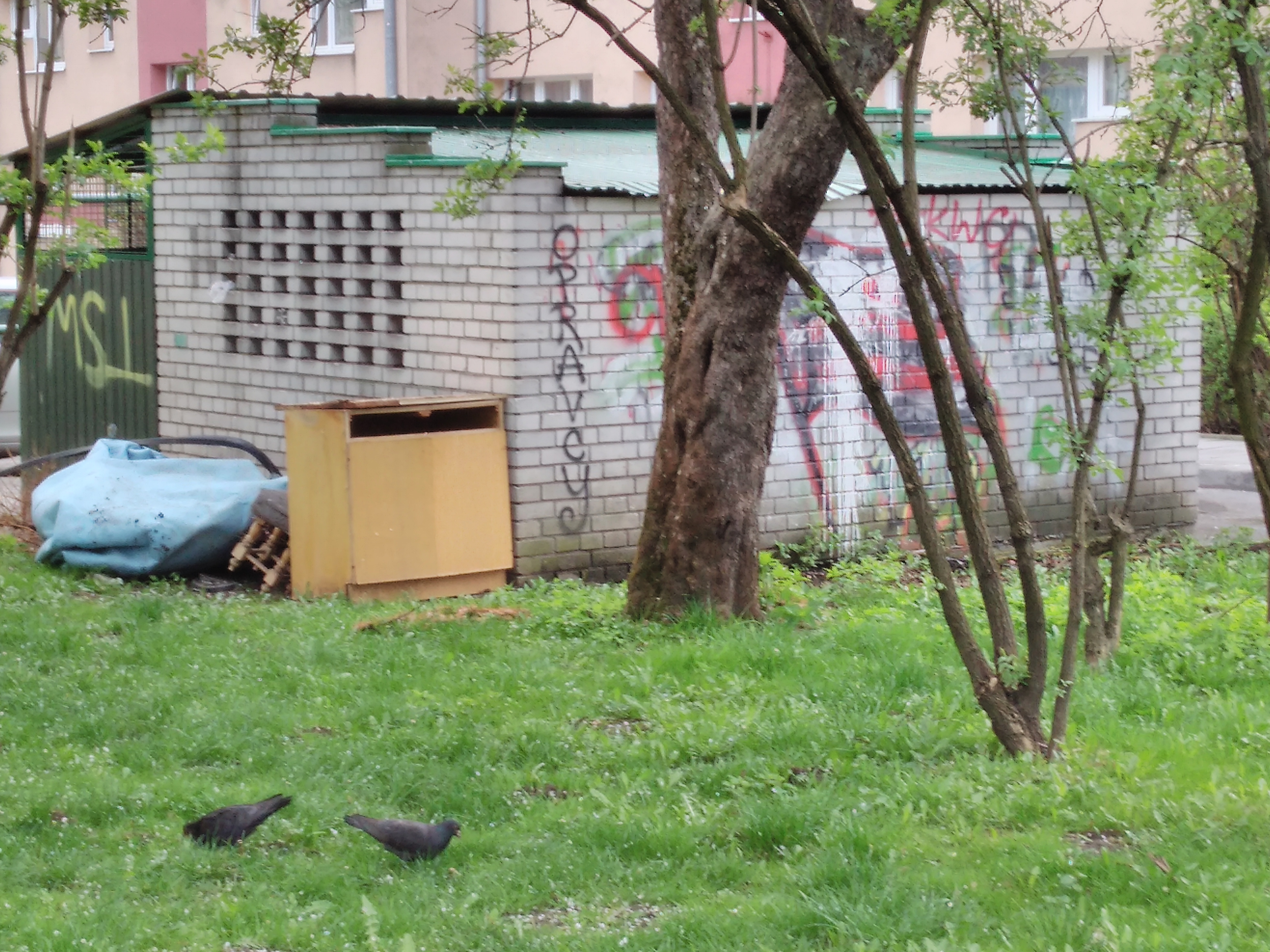 Zdjęcie przed zamalowaniem