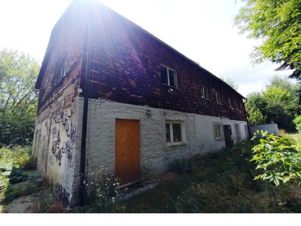 Zdjęcie przed zamalowaniem