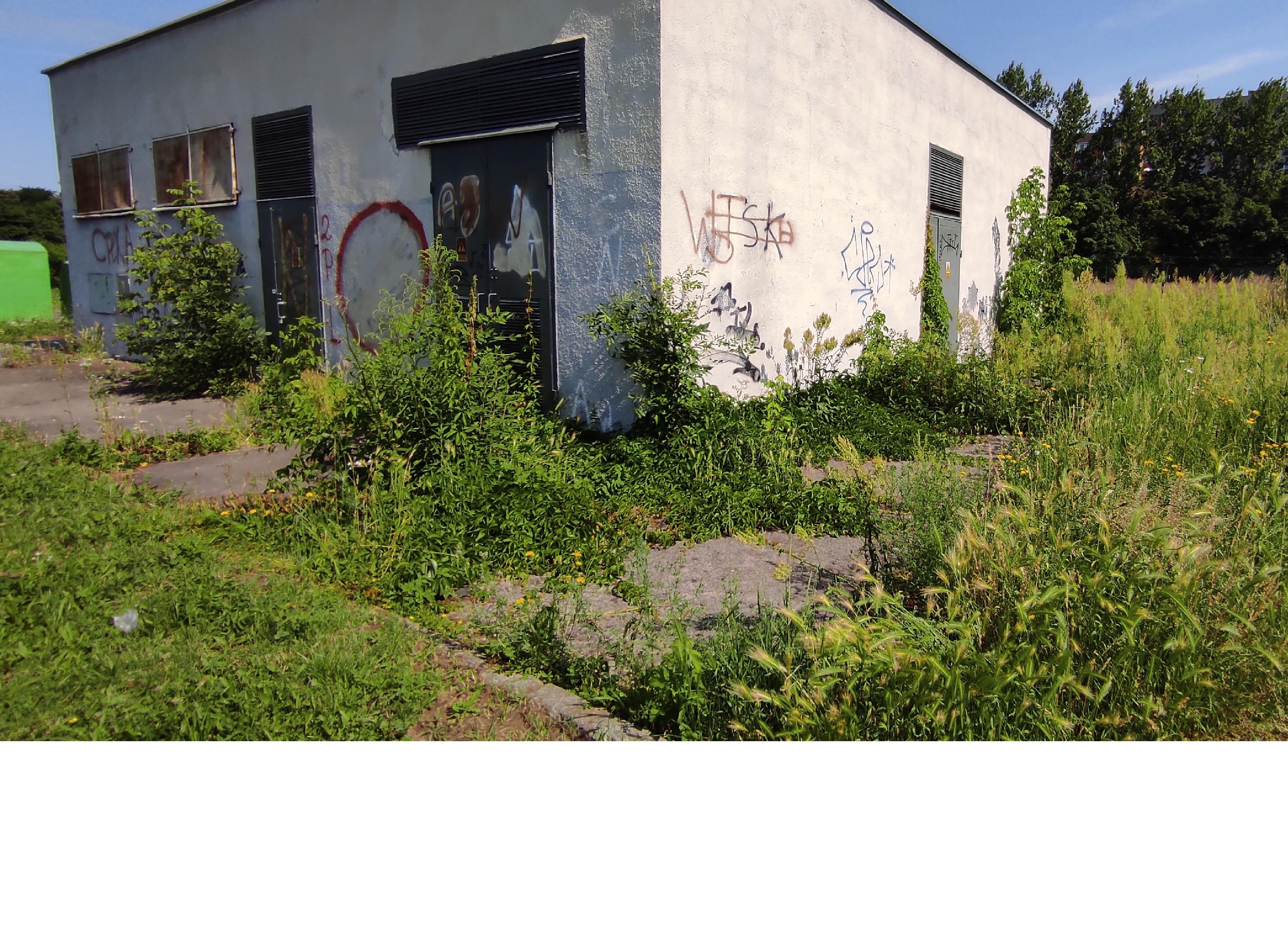 Zdjęcie przed zamalowaniem