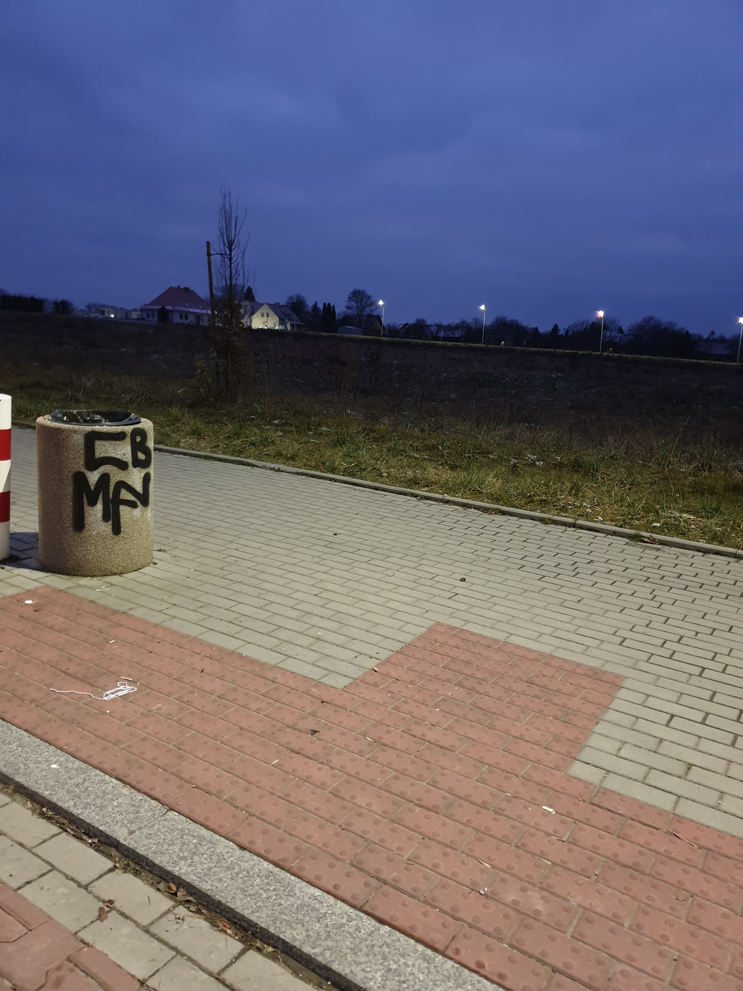 Zdjęcie przed zamalowaniem