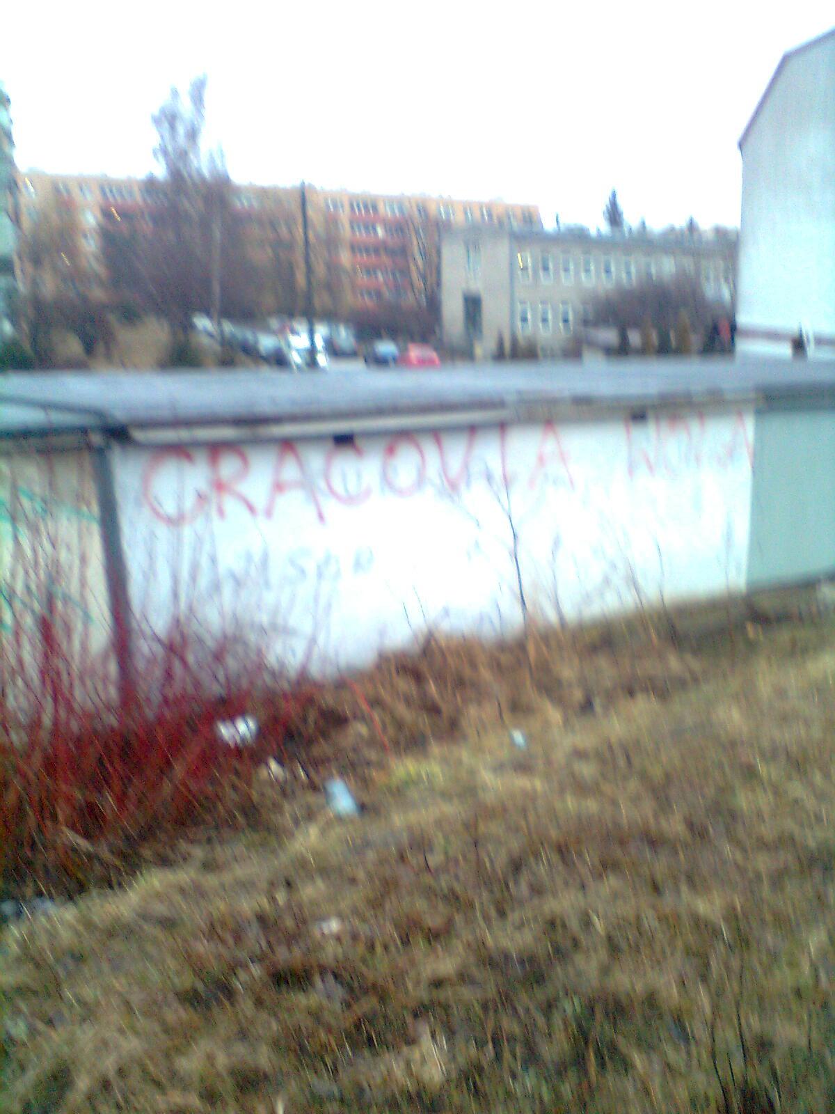 Zdjęcie przed zamalowaniem