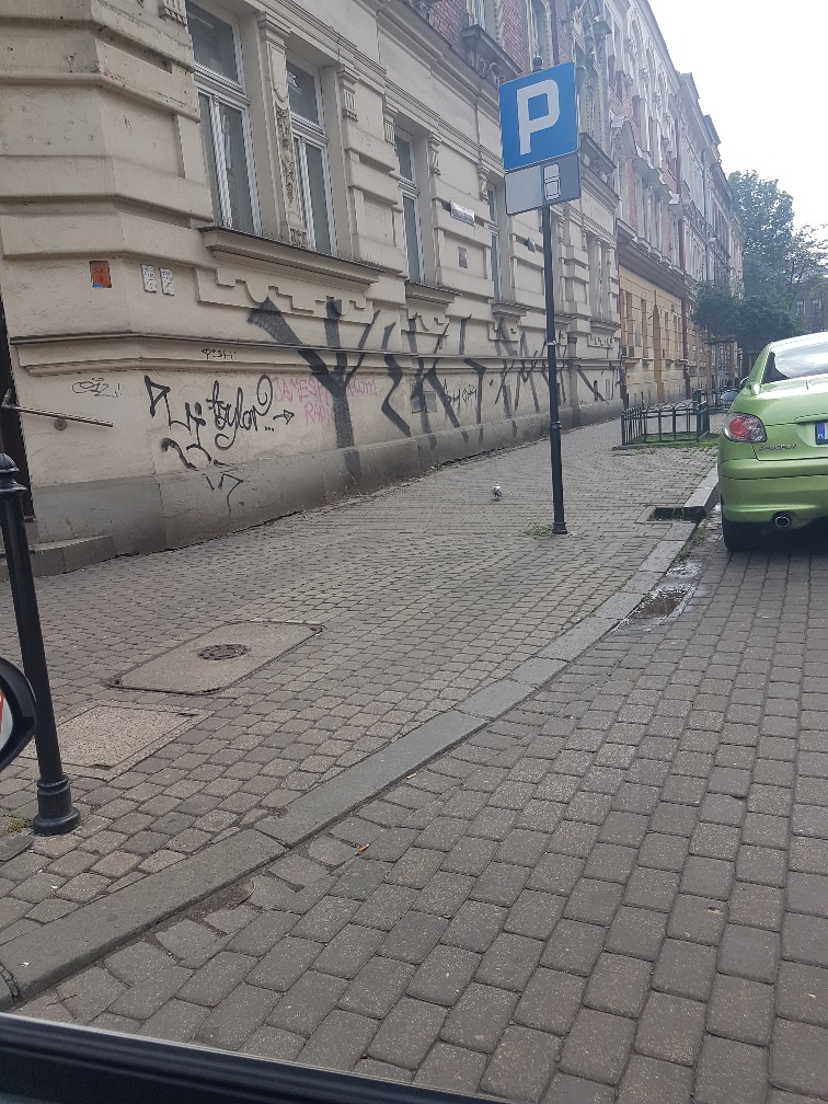 Zdjęcie przed zamalowaniem