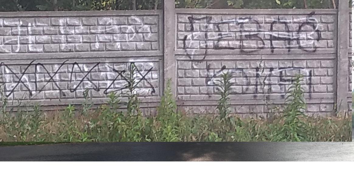 Zdjęcie przed zamalowaniem