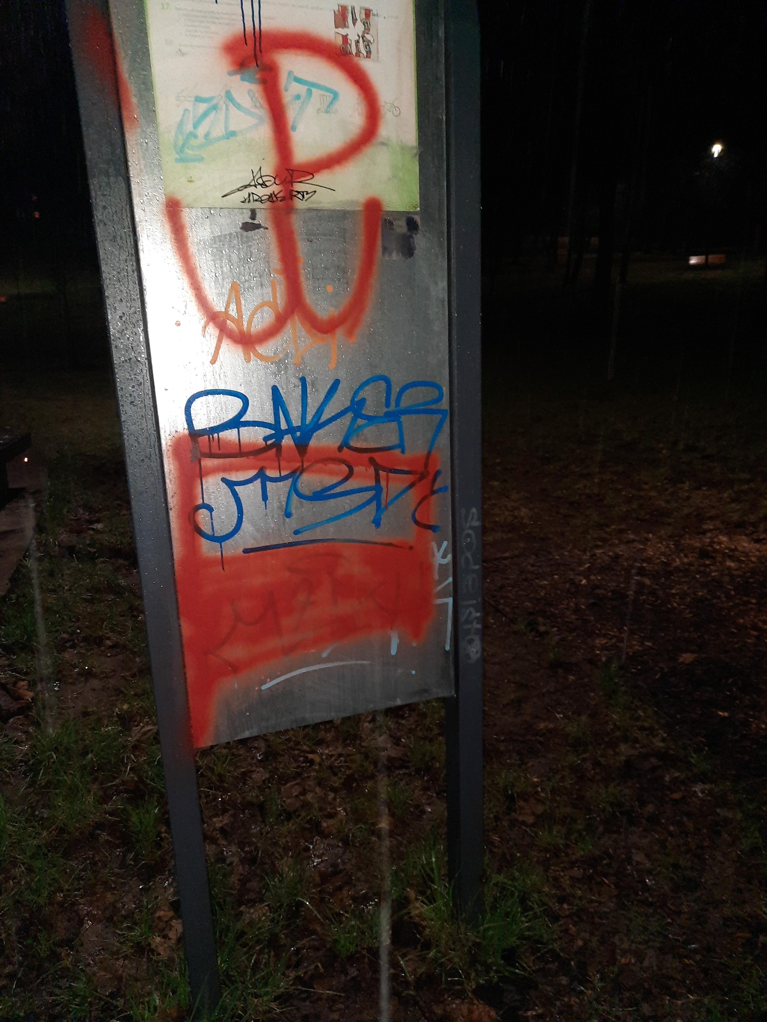 Zdjęcie przed zamalowaniem