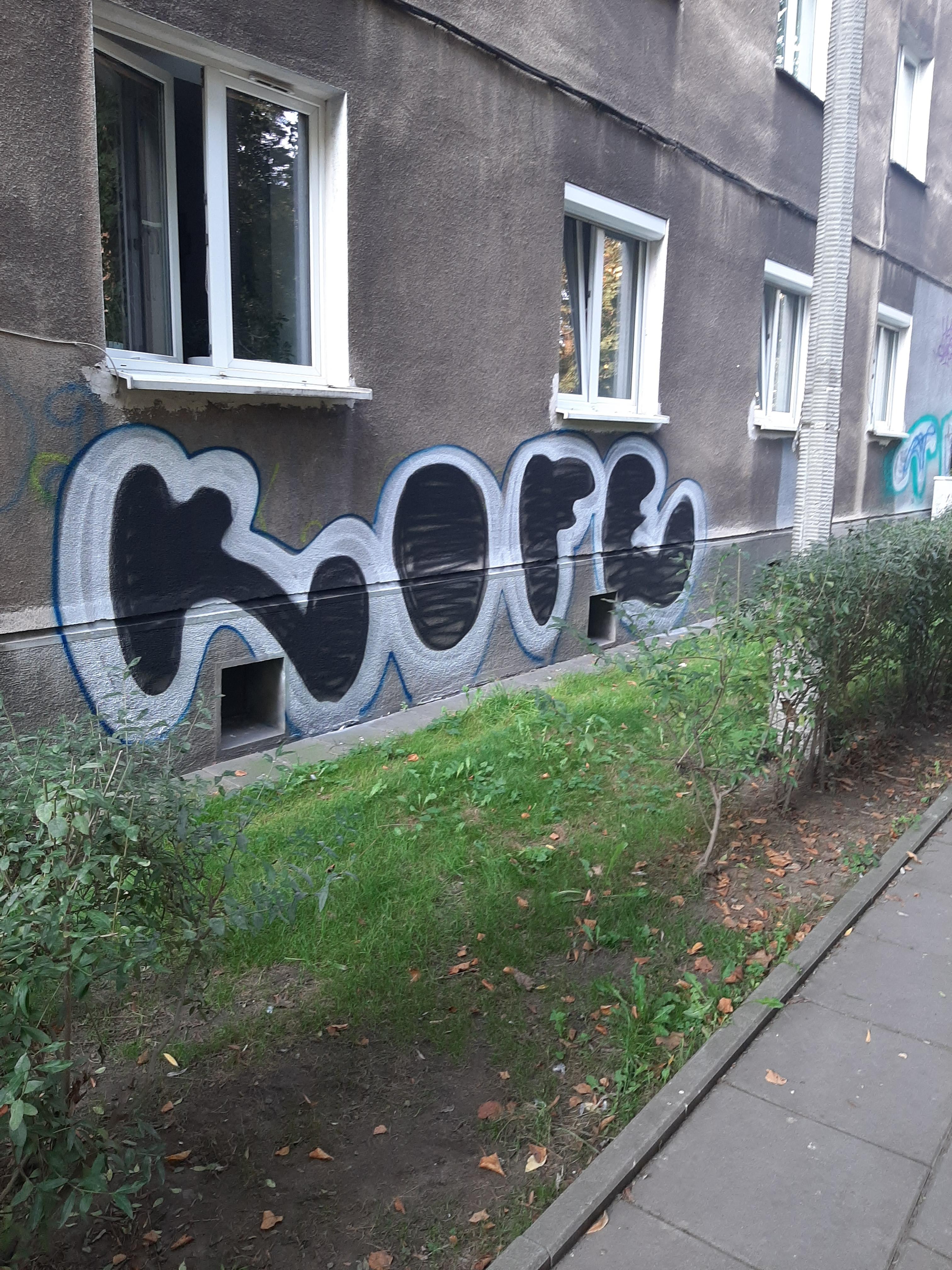 Zdjęcie przed zamalowaniem