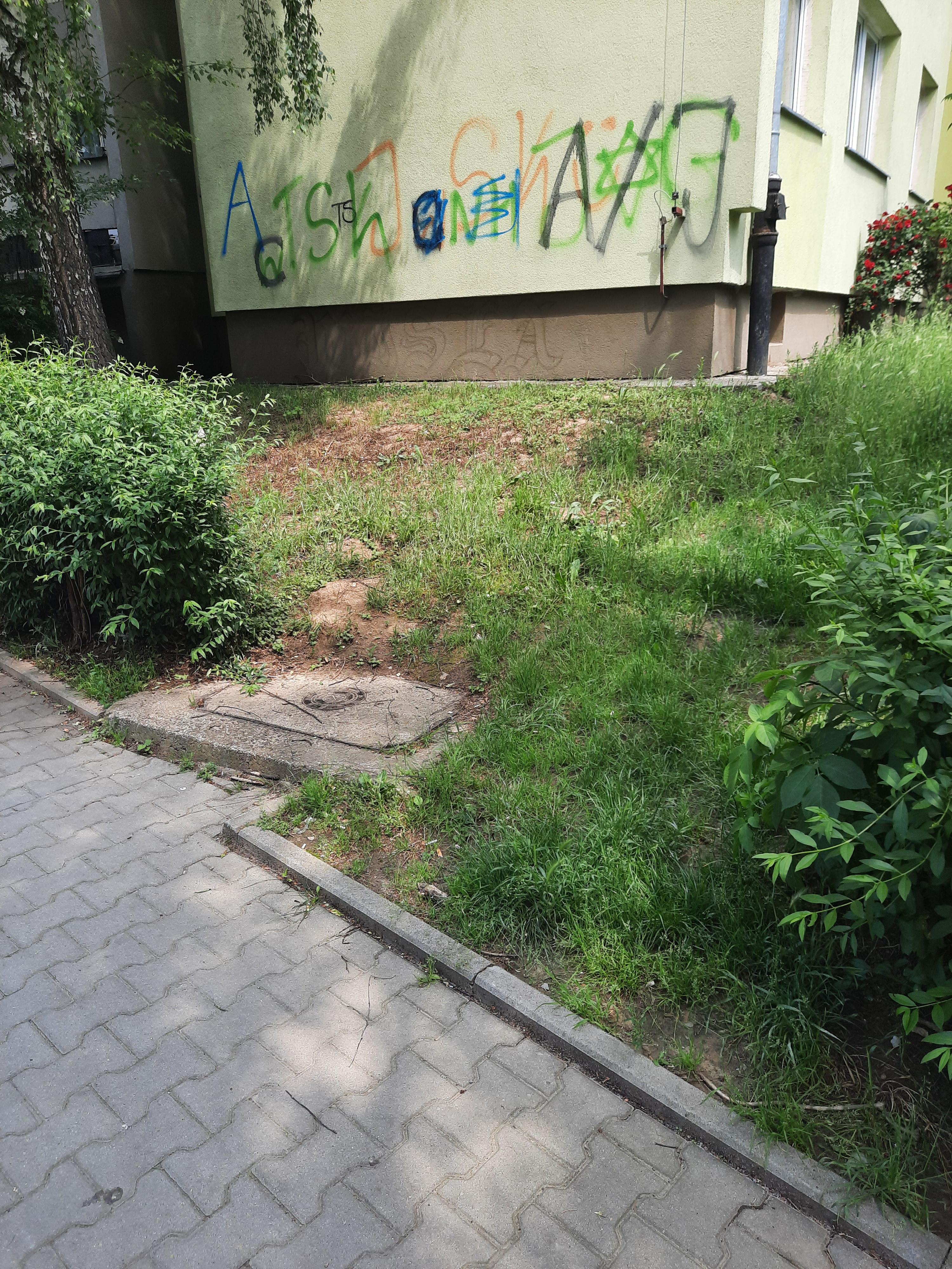 Zdjęcie przed zamalowaniem