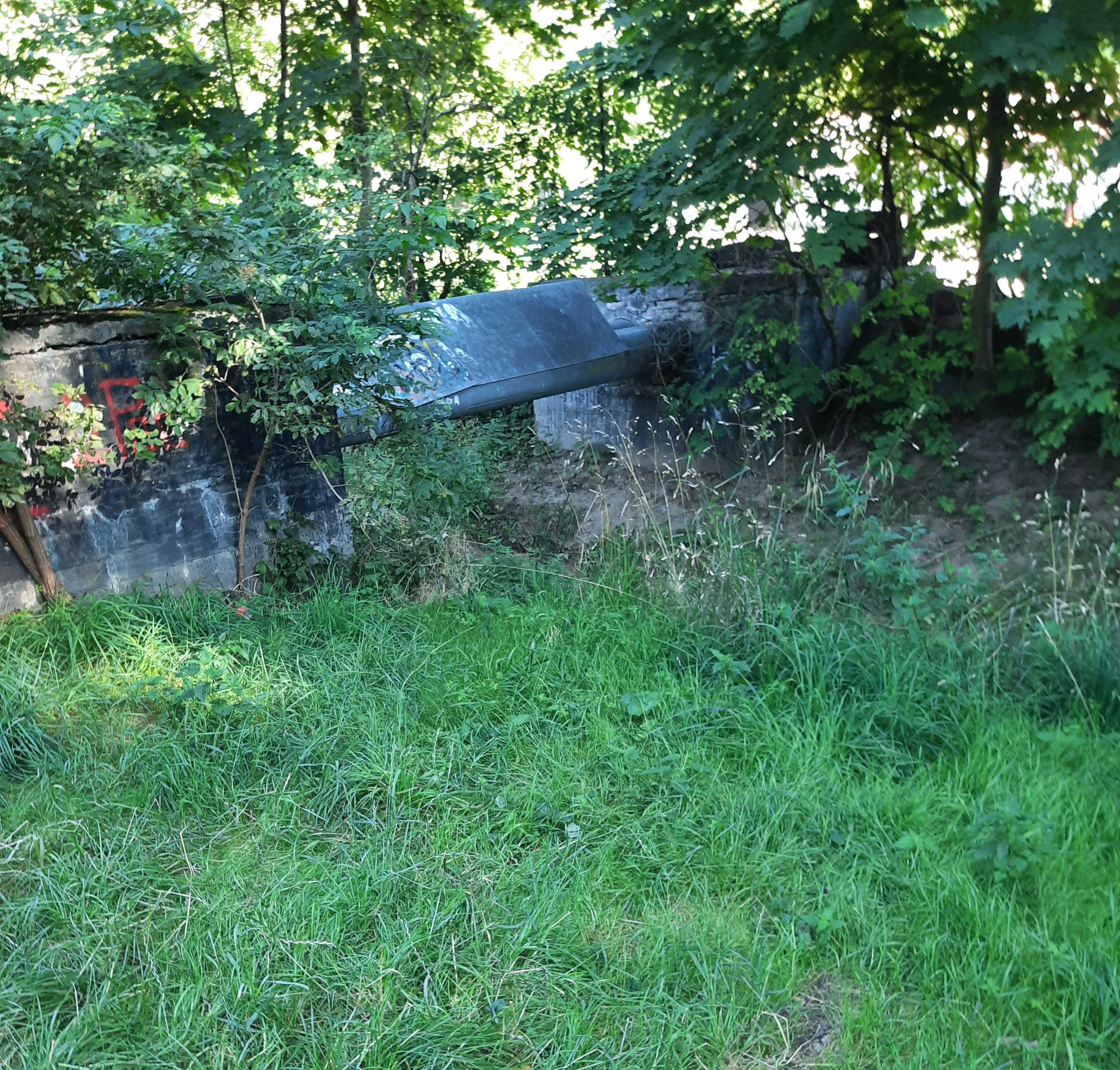 Zdjęcie przed zamalowaniem