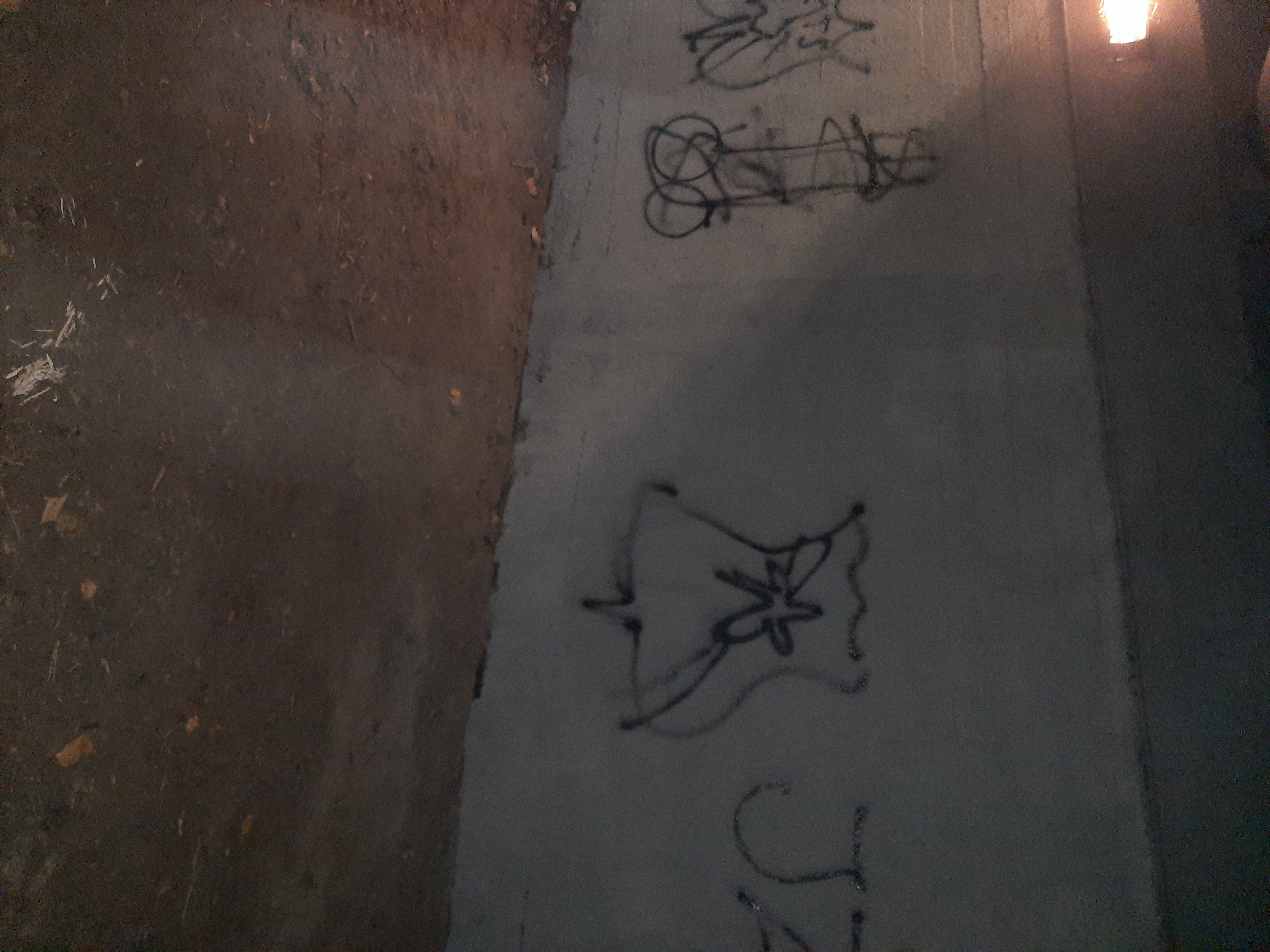 Zdjęcie przed zamalowaniem