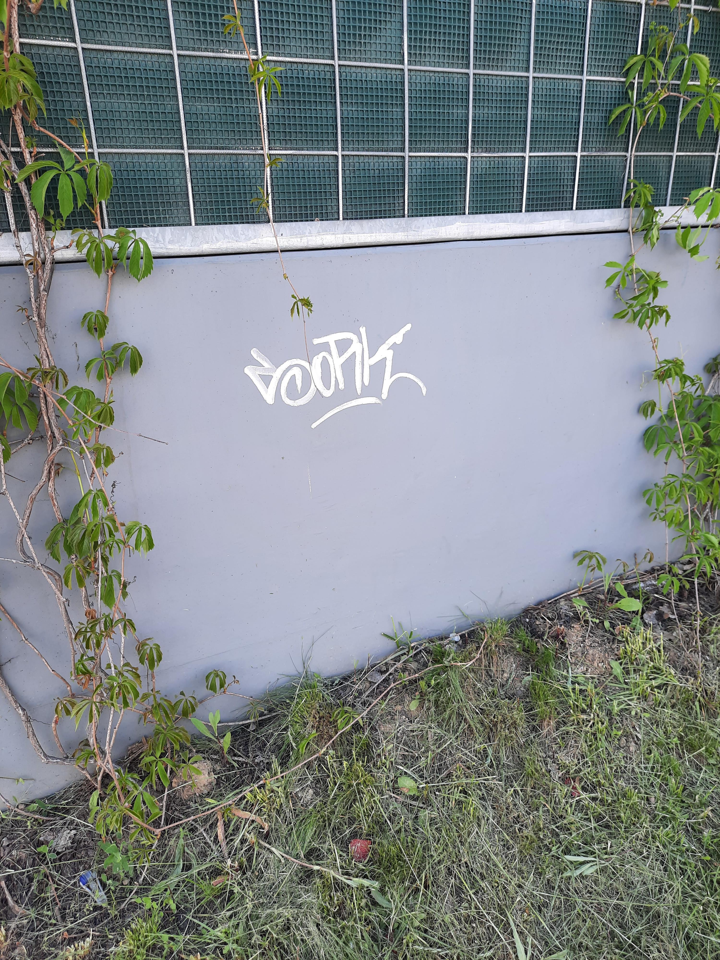 Zdjęcie przed zamalowaniem