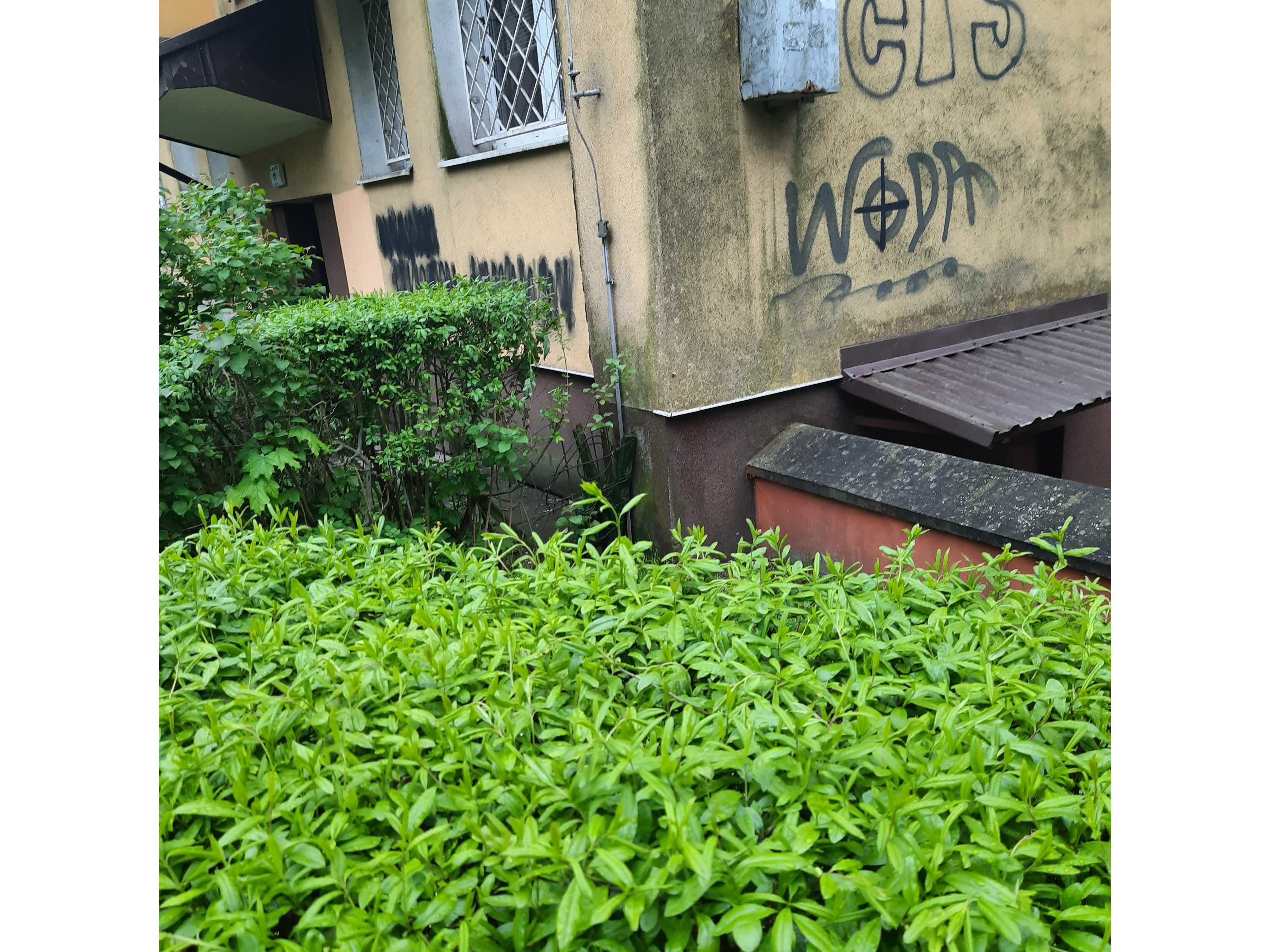 Zdjęcie przed zamalowaniem