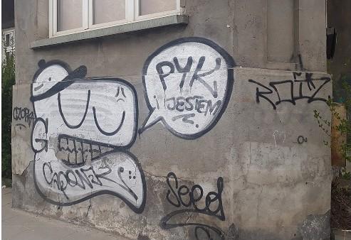 Zdjęcie przed zamalowaniem