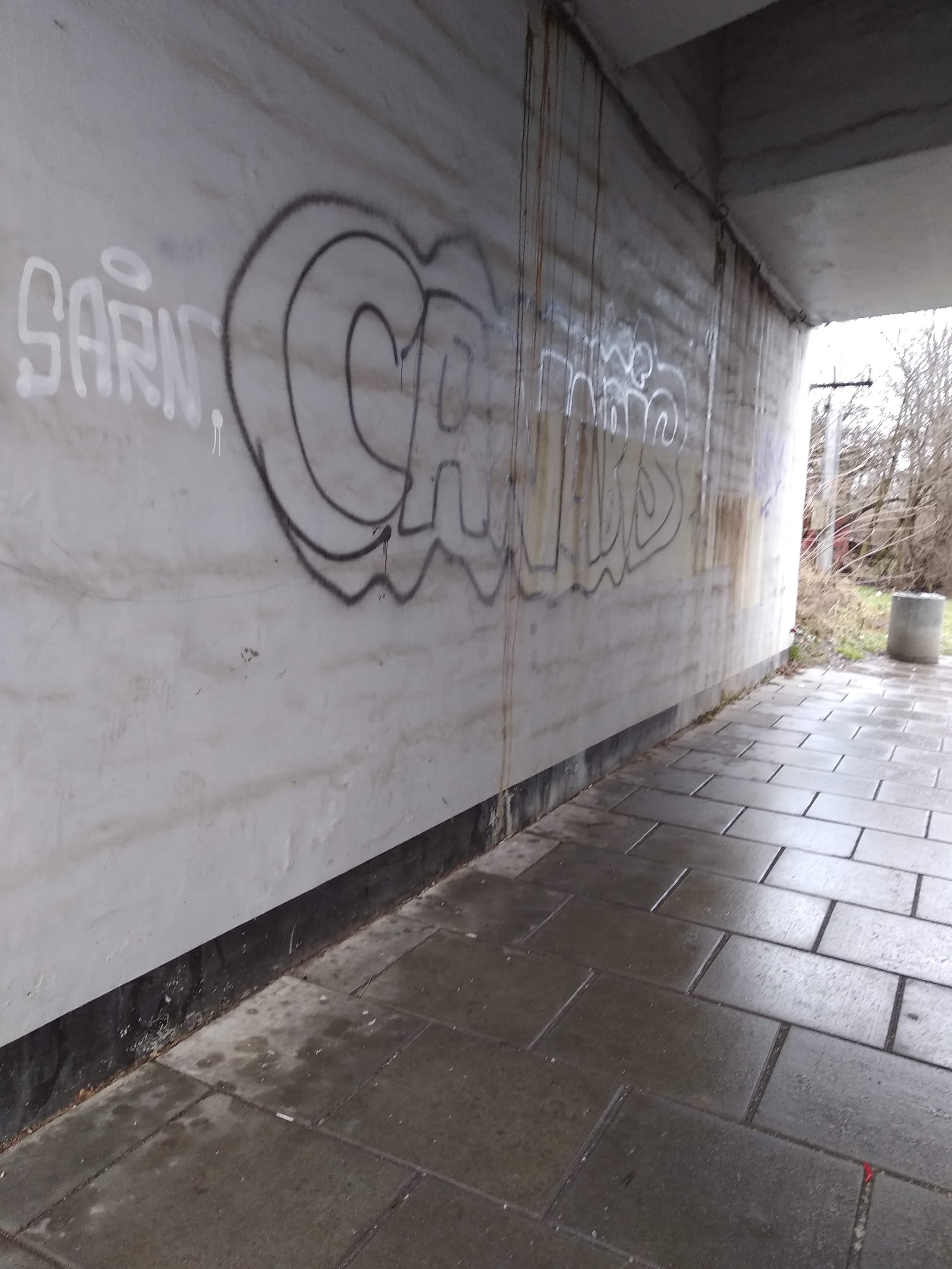 Zdjęcie przed zamalowaniem