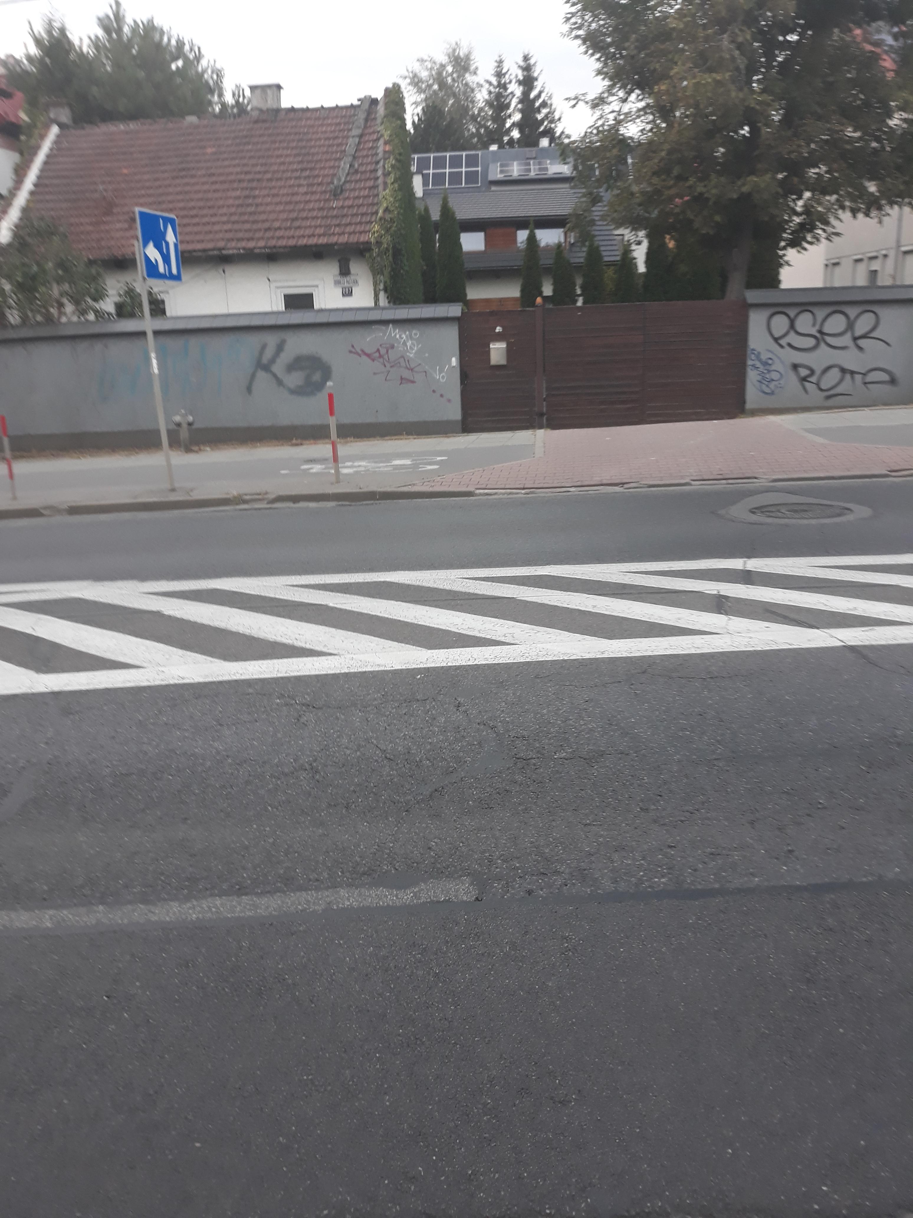 Zdjęcie przed zamalowaniem