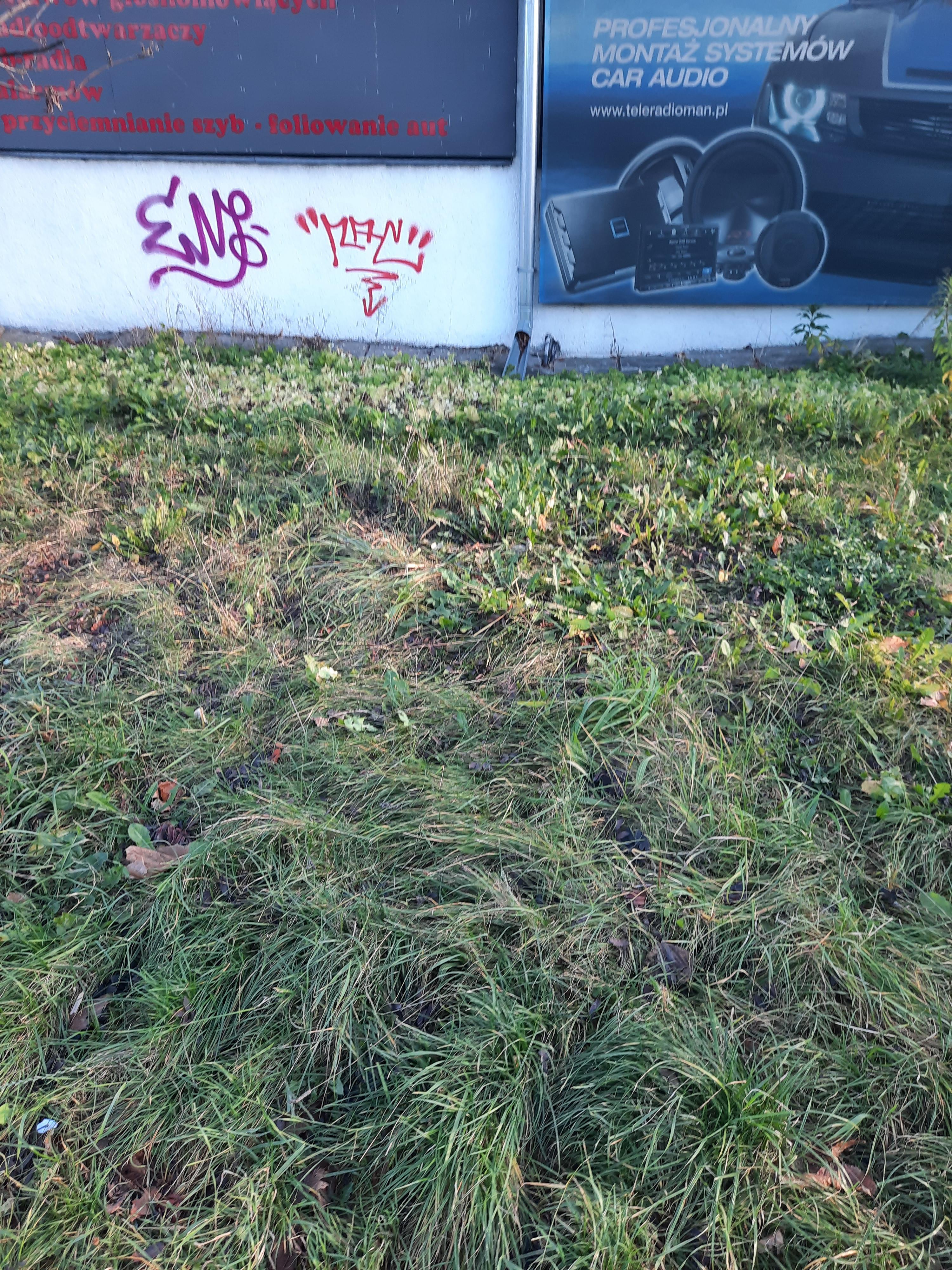 Zdjęcie przed zamalowaniem