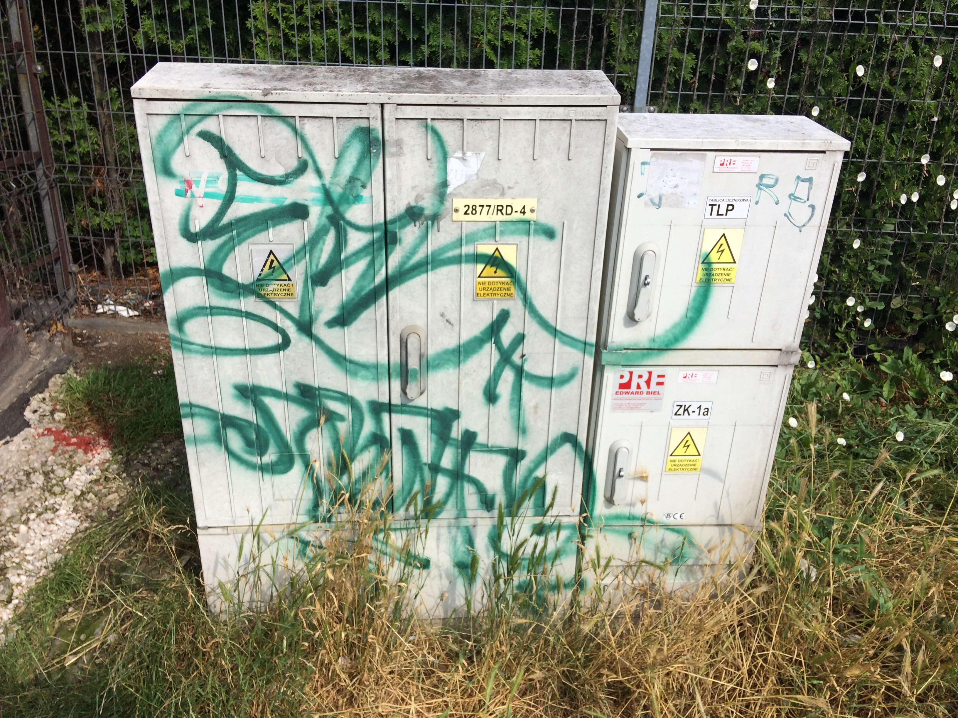 Zdjęcie przed zamalowaniem