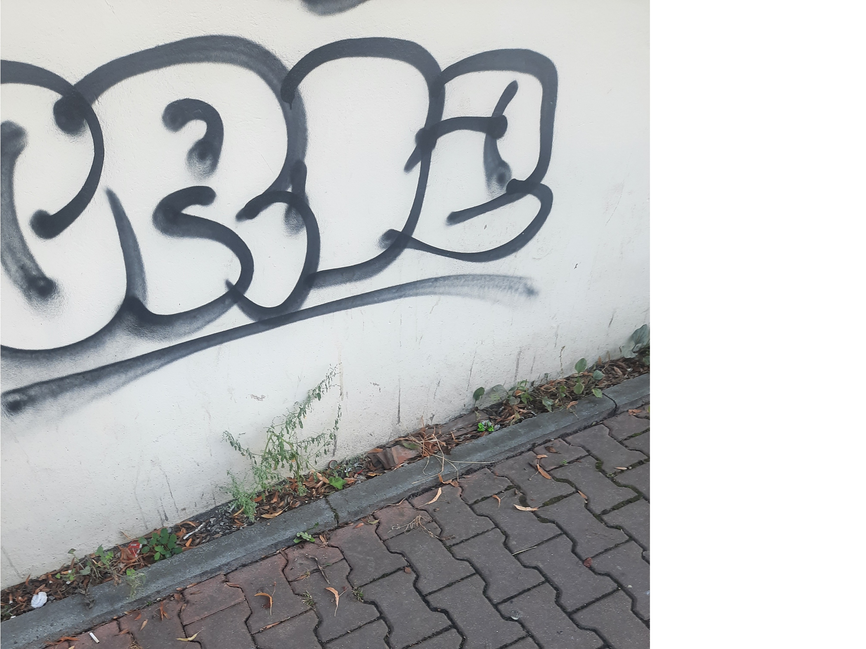 Zdjęcie przed zamalowaniem
