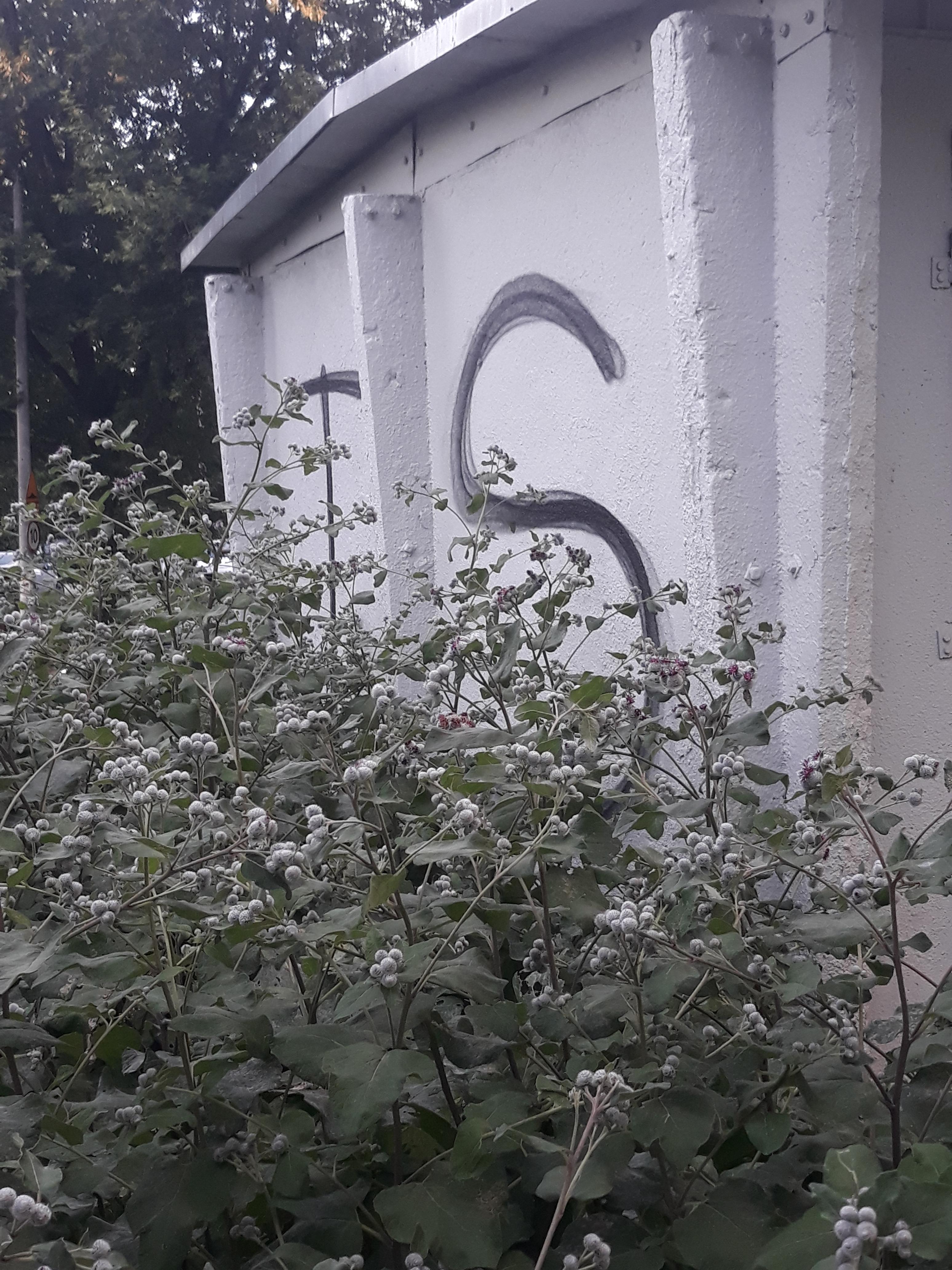 Zdjęcie przed zamalowaniem