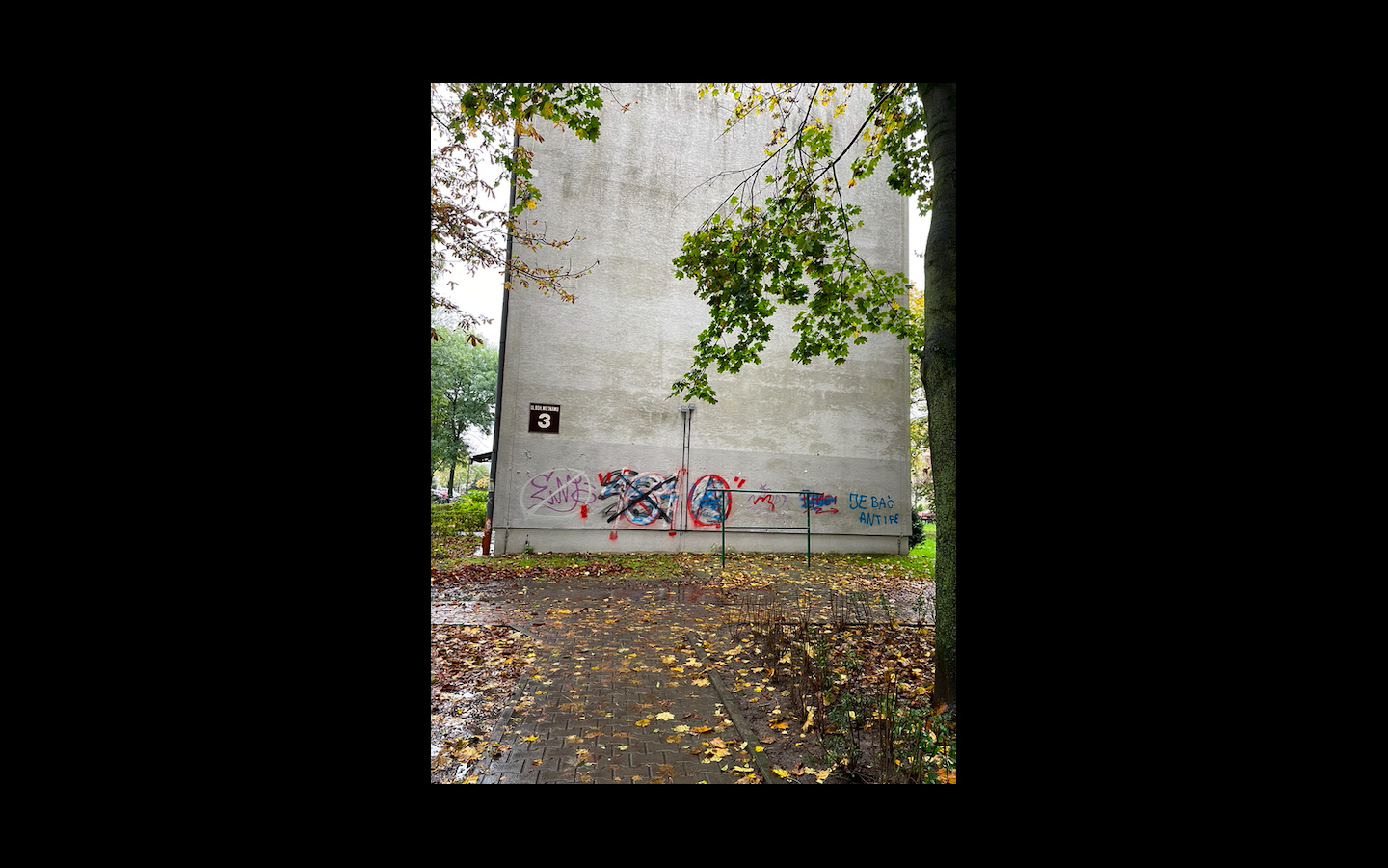 Zdjęcie przed zamalowaniem