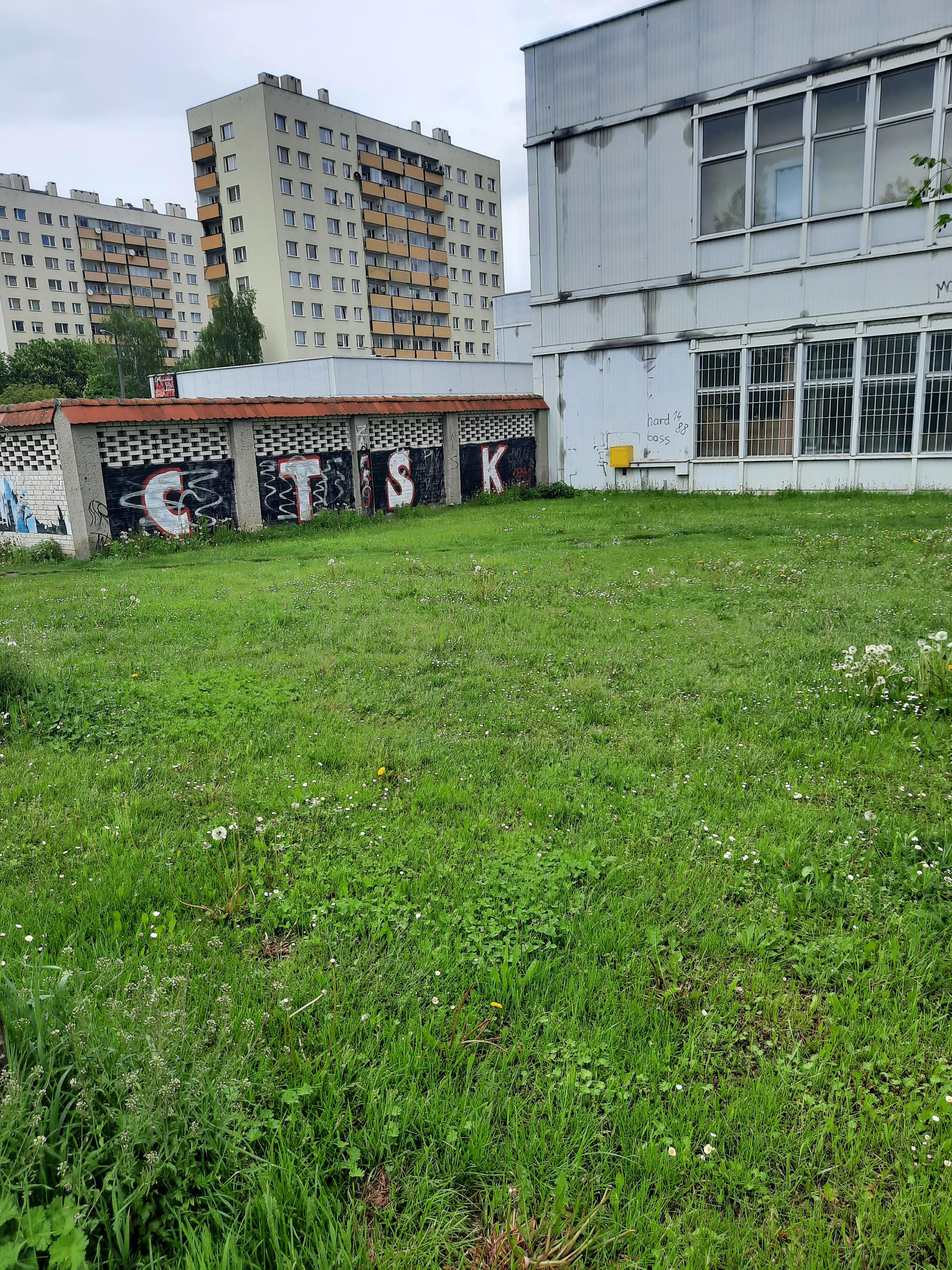 Zdjęcie przed zamalowaniem