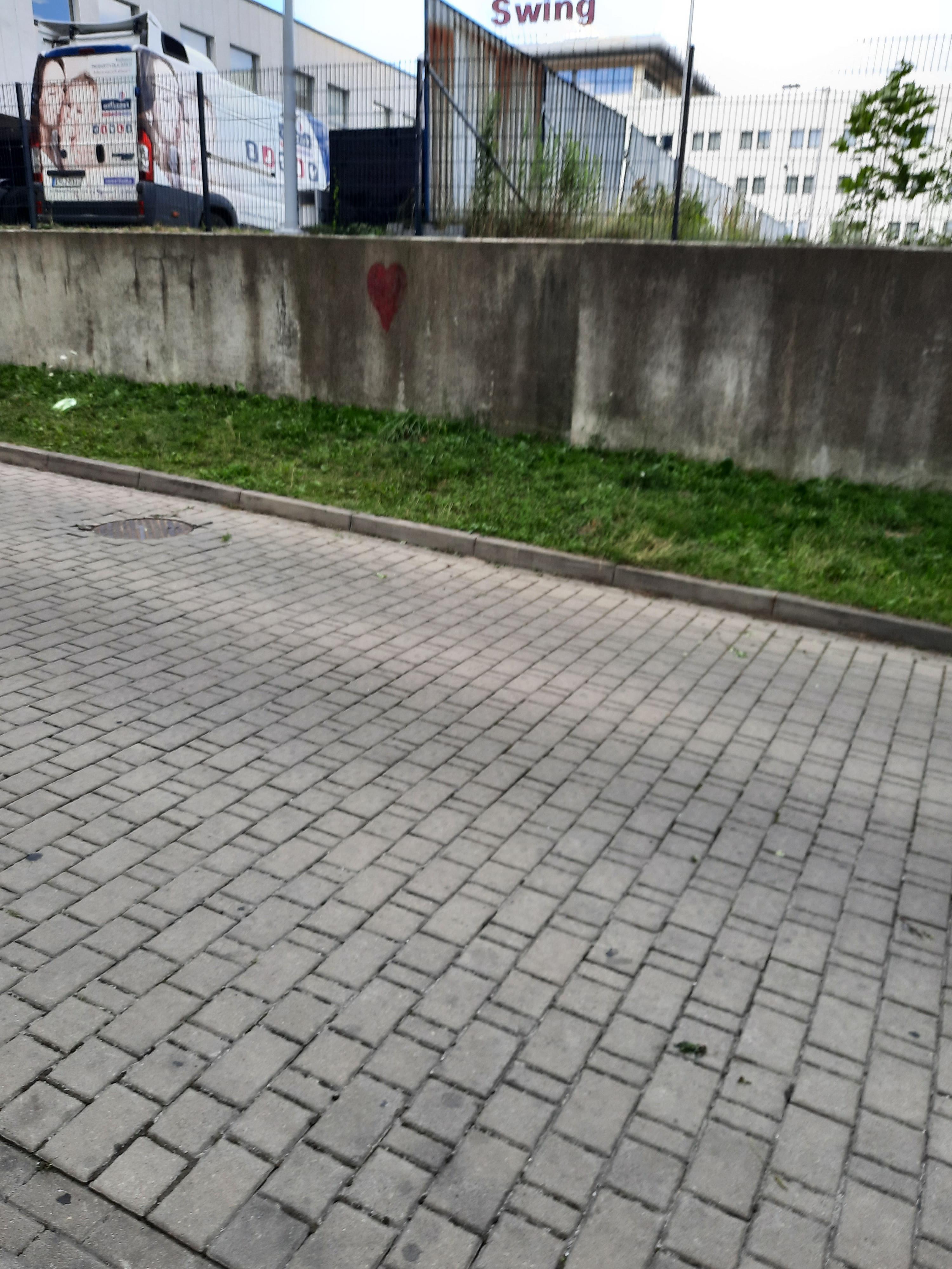 Zdjęcie przed zamalowaniem