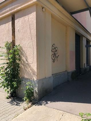 Zdjęcie przed zamalowaniem