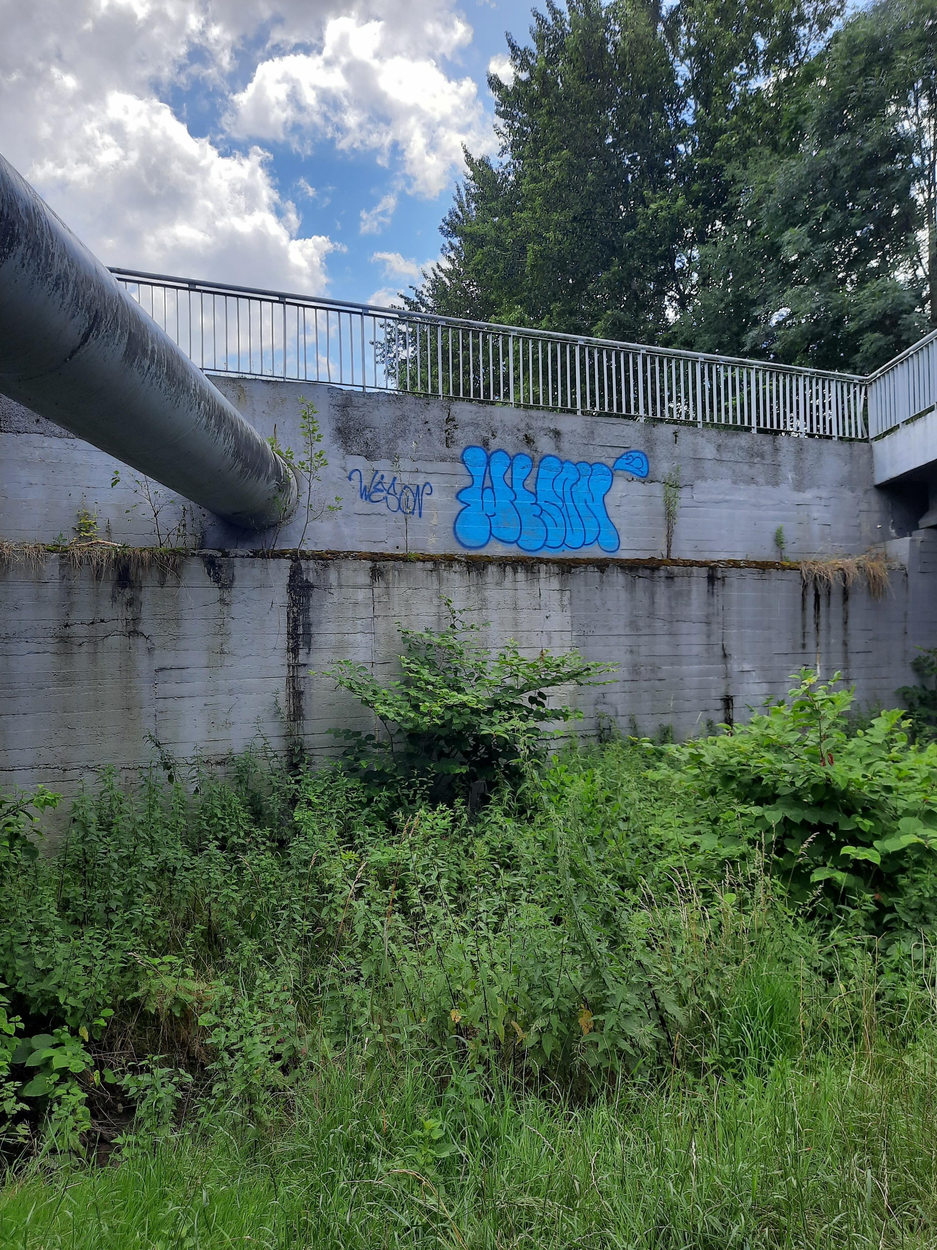 Zdjęcie przed zamalowaniem