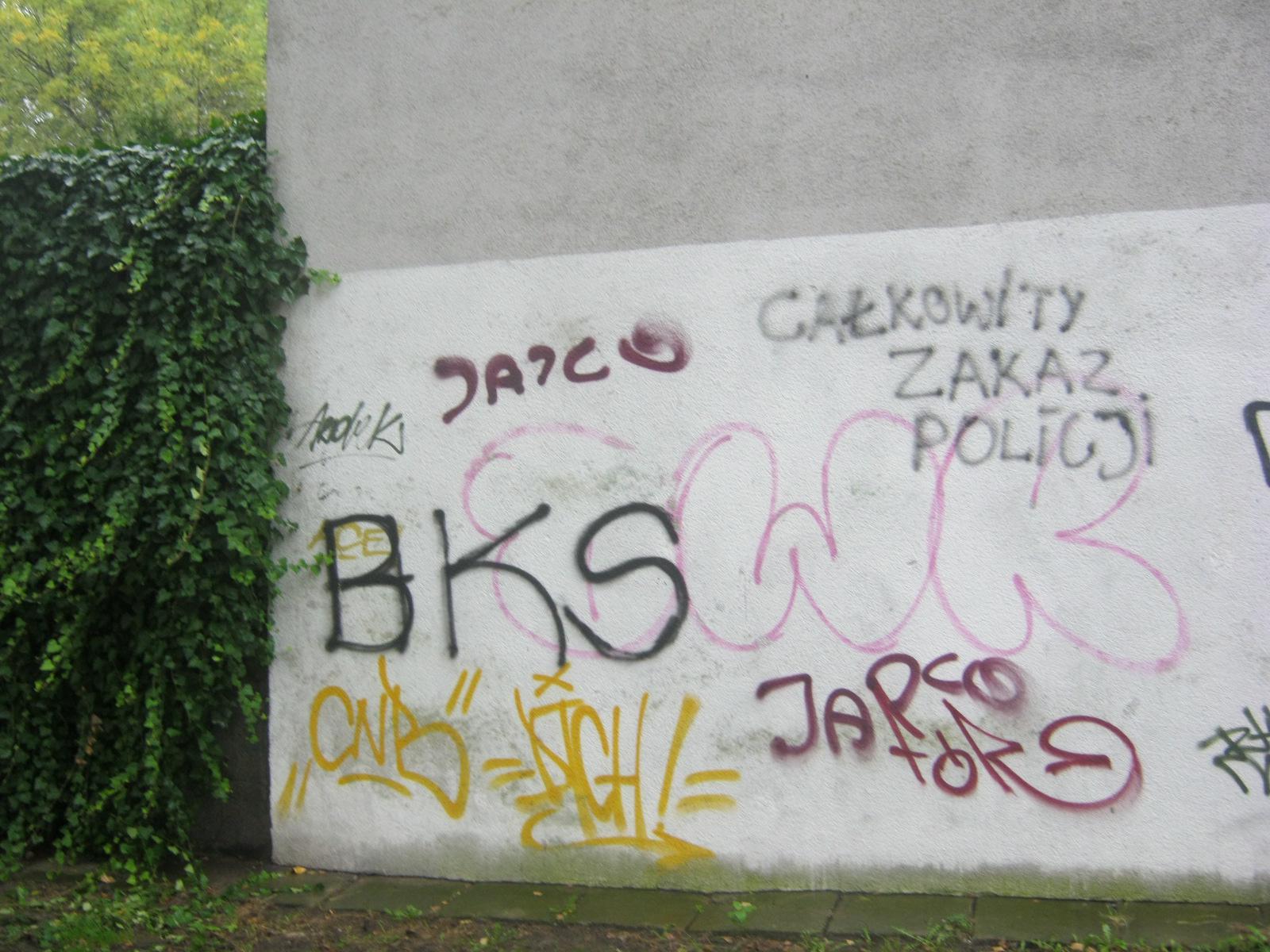 Zdjęcie przed zamalowaniem