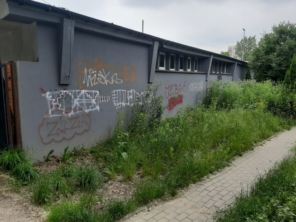 Zdjęcie przed zamalowaniem