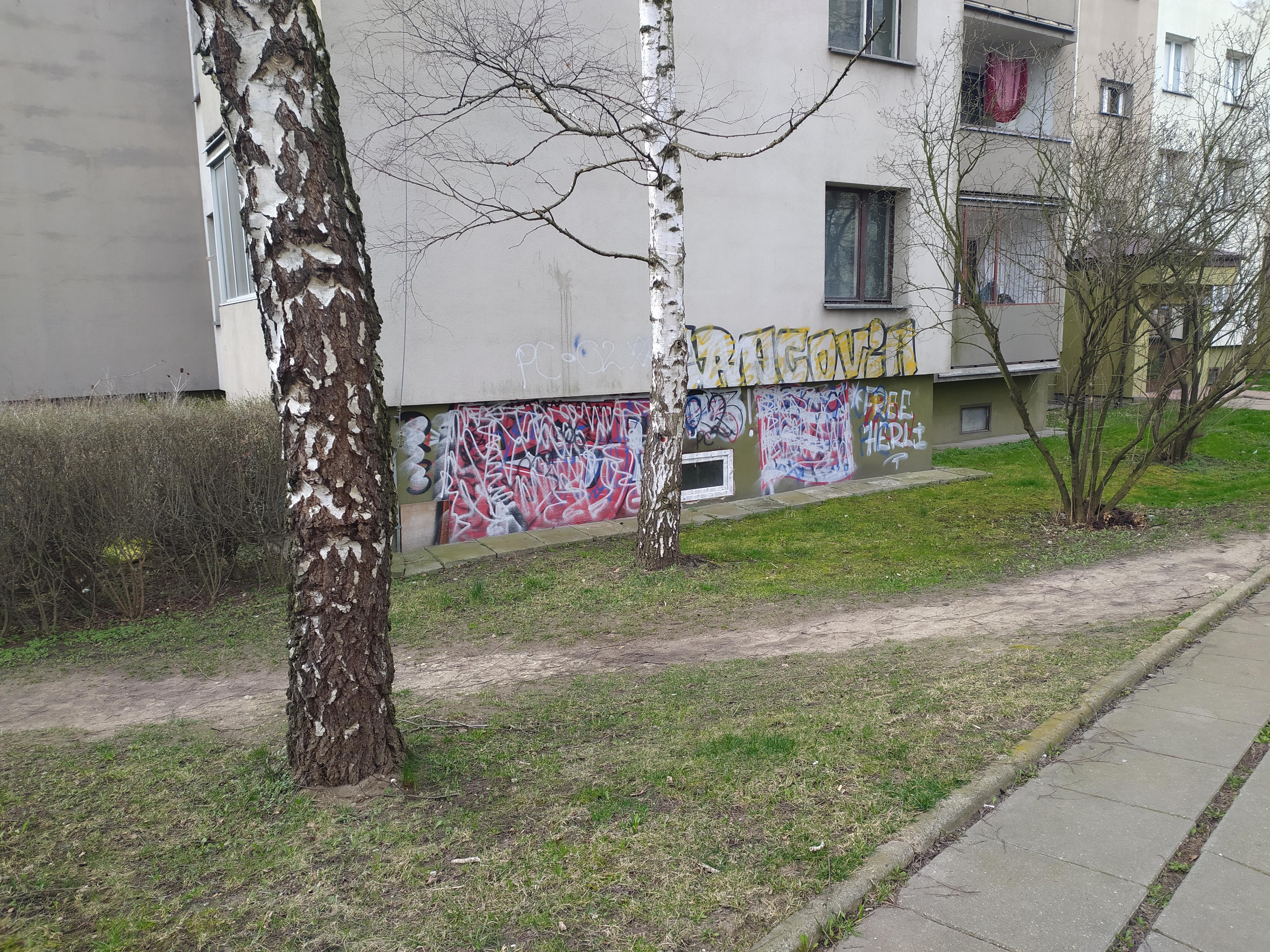 Zdjęcie przed zamalowaniem