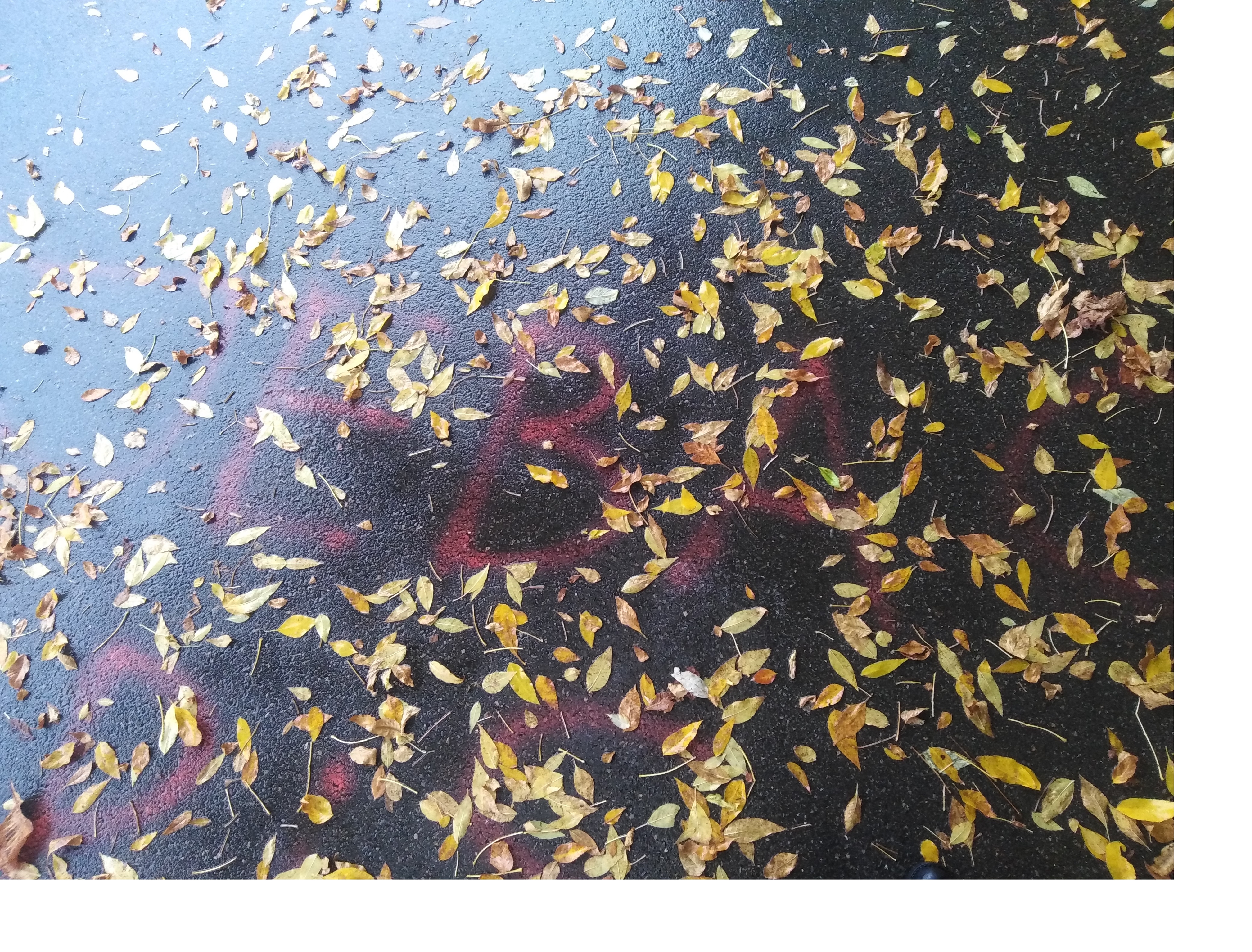 Zdjęcie przed zamalowaniem