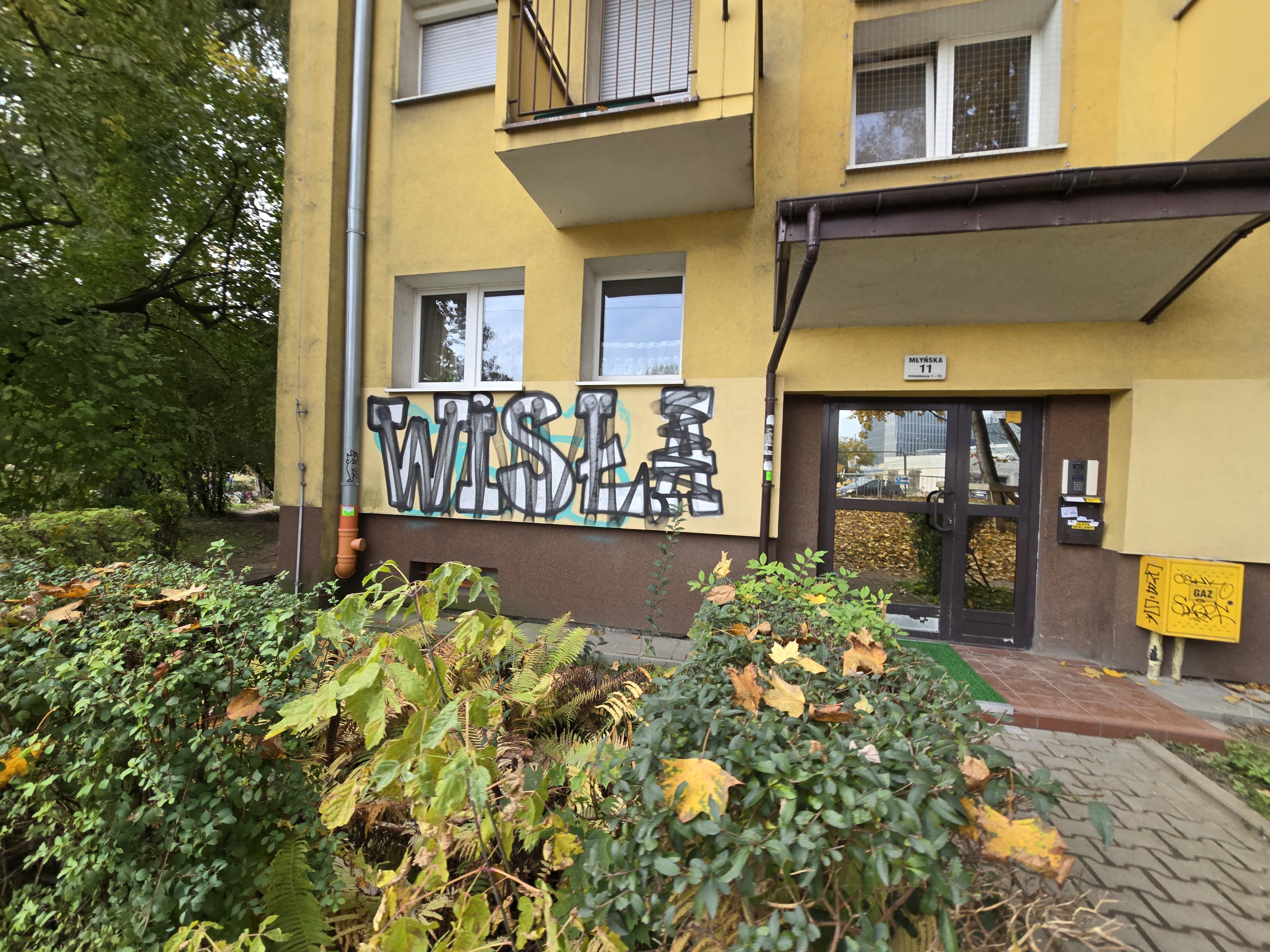 Zdjęcie przed zamalowaniem