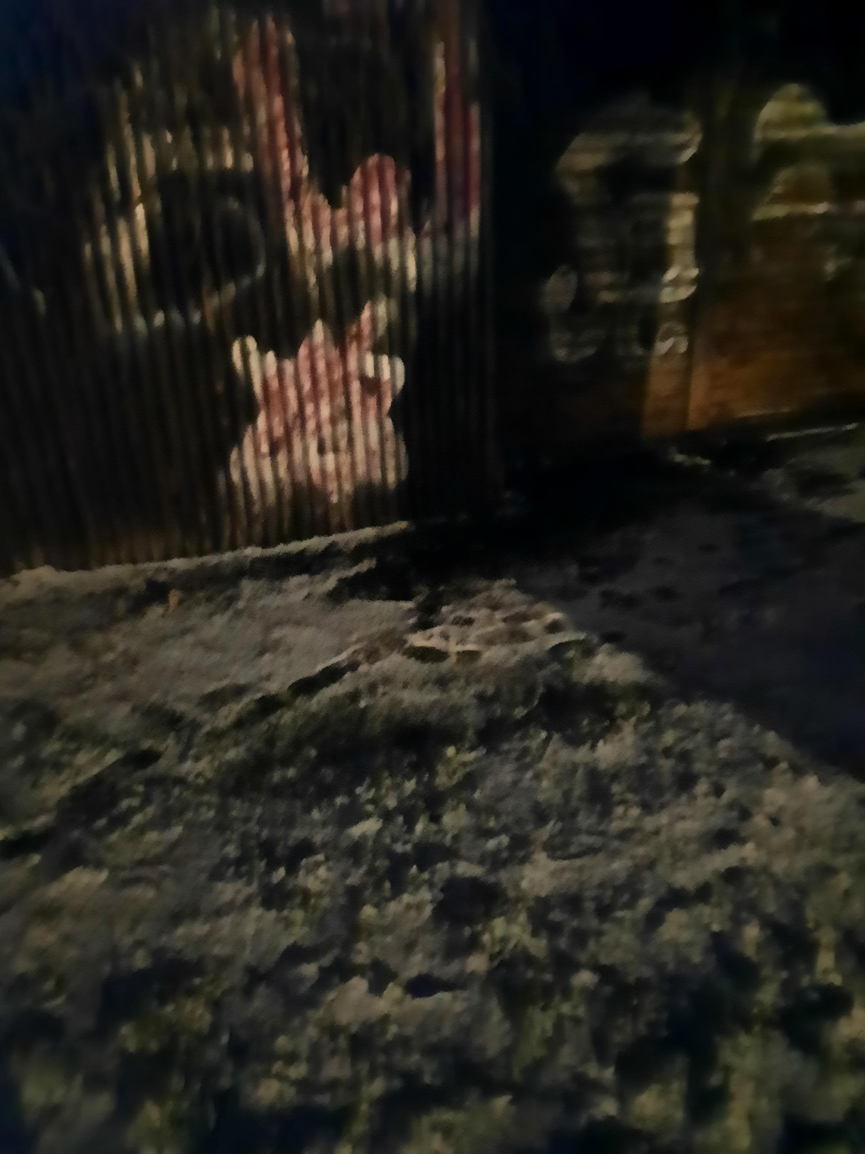 Zdjęcie przed zamalowaniem