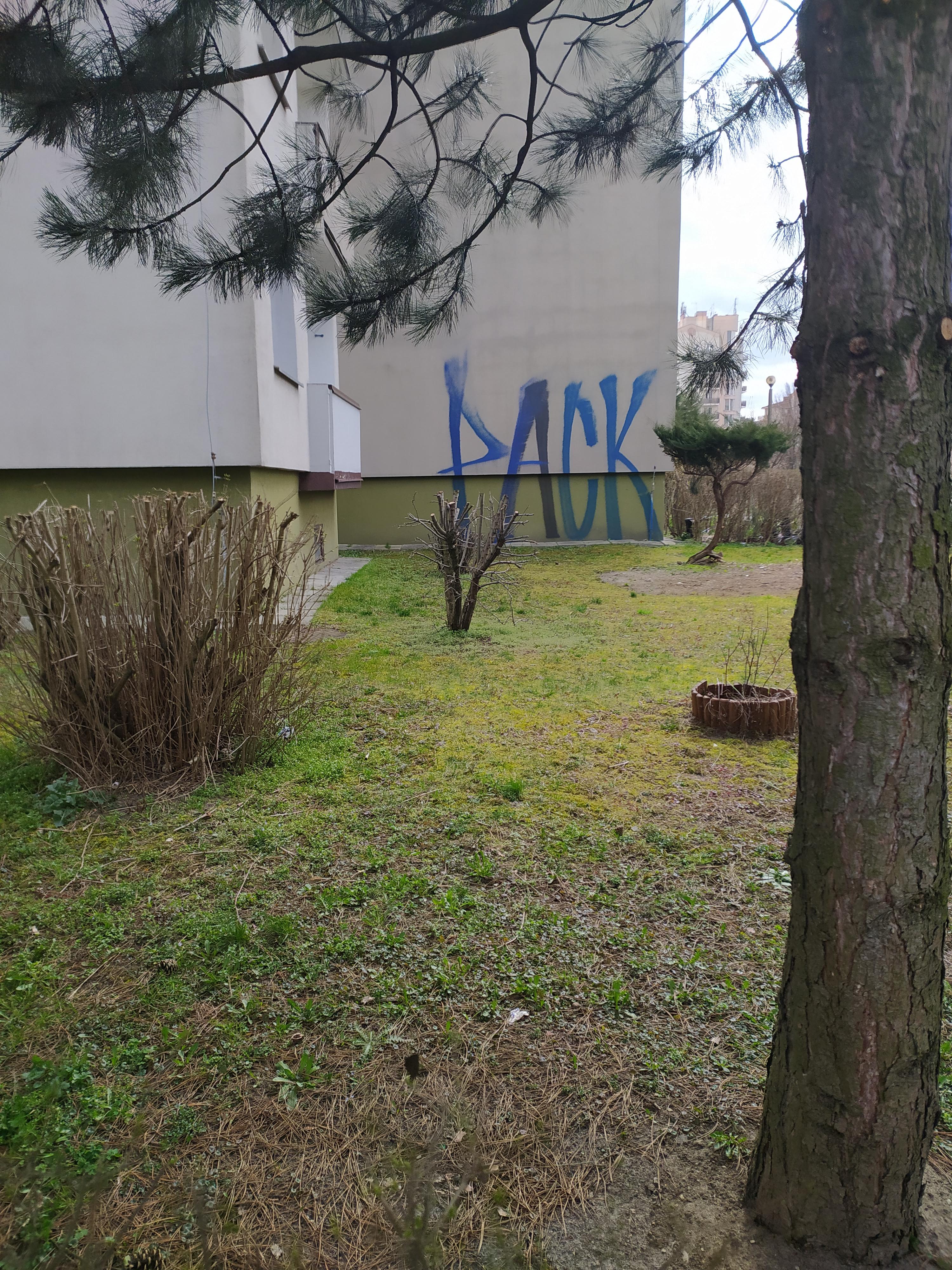 Zdjęcie przed zamalowaniem