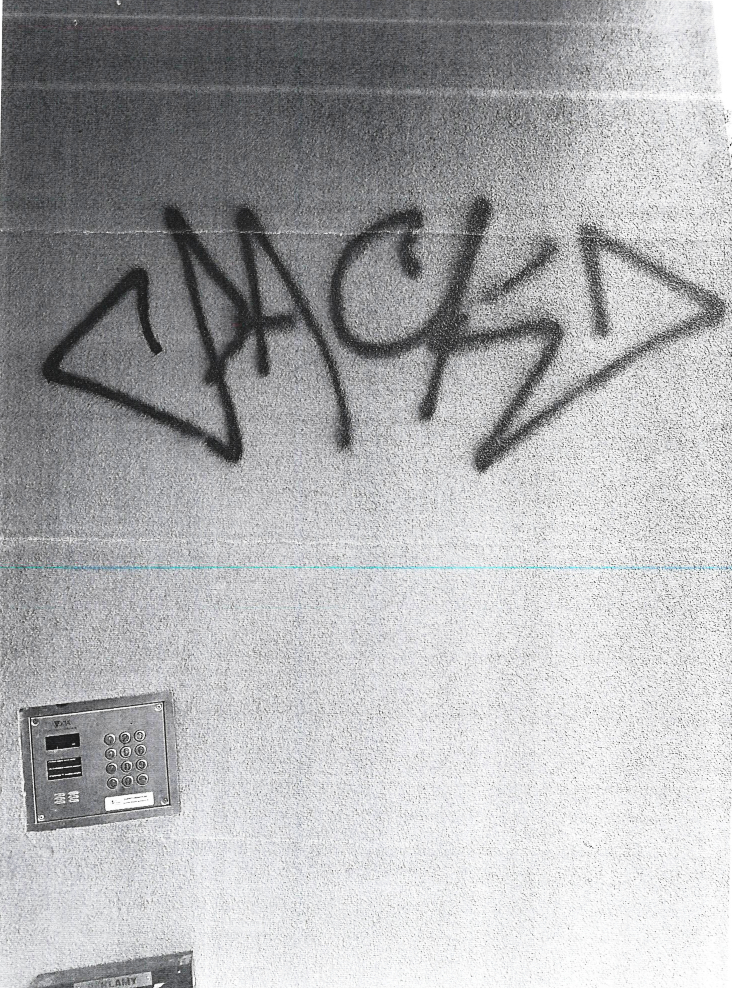 Zdjęcie przed zamalowaniem