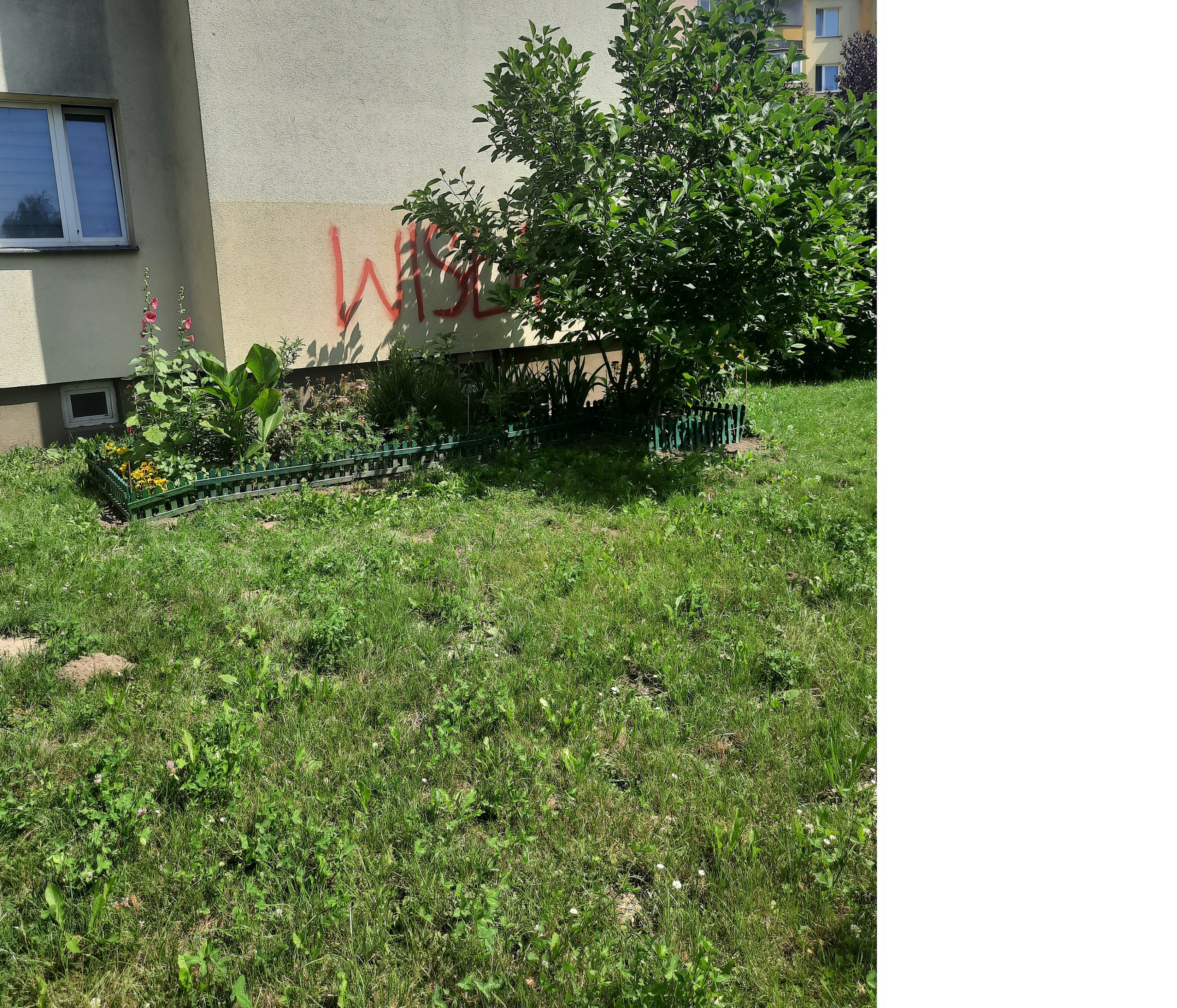 Zdjęcie przed zamalowaniem