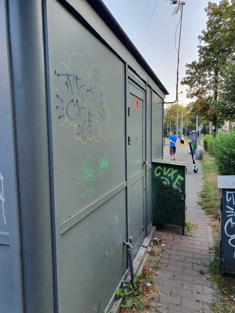 Zdjęcie przed zamalowaniem