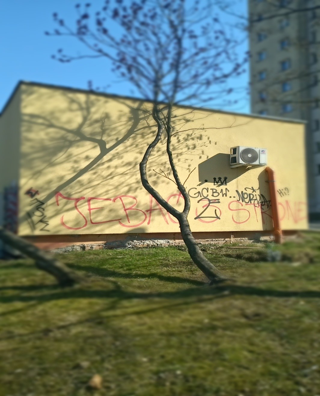 Zdjęcie przed zamalowaniem