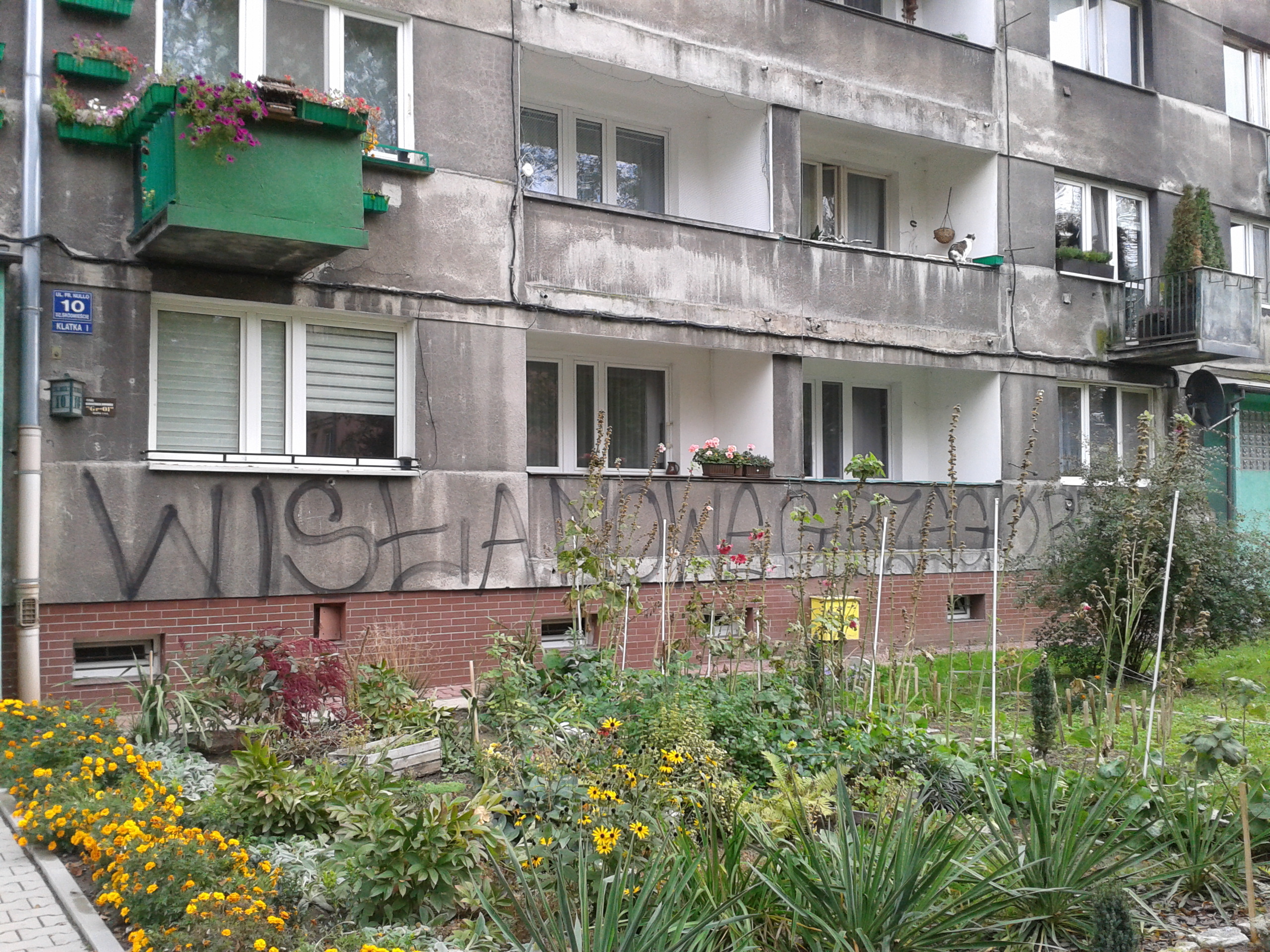 Zdjęcie przed zamalowaniem