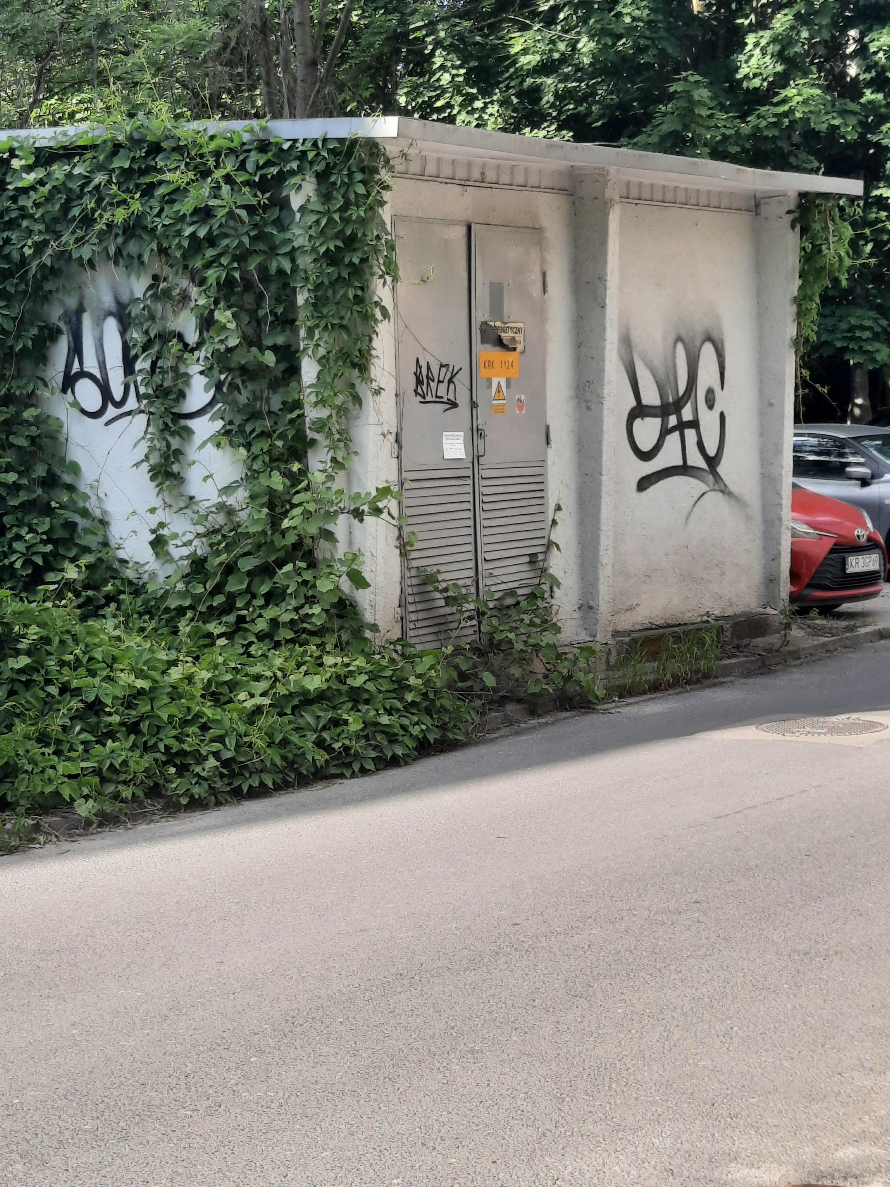 Zdjęcie przed zamalowaniem