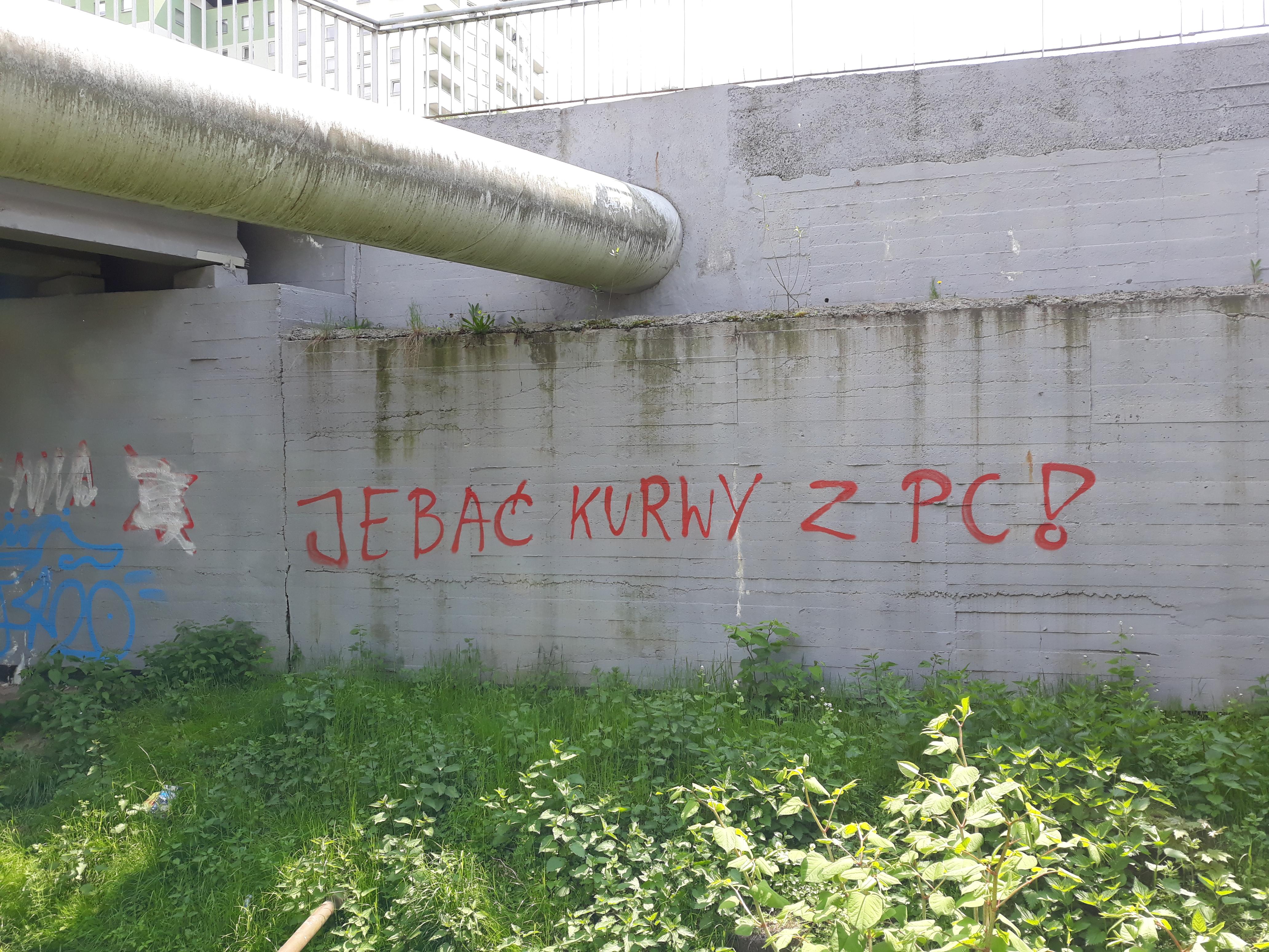 Zdjęcie przed zamalowaniem