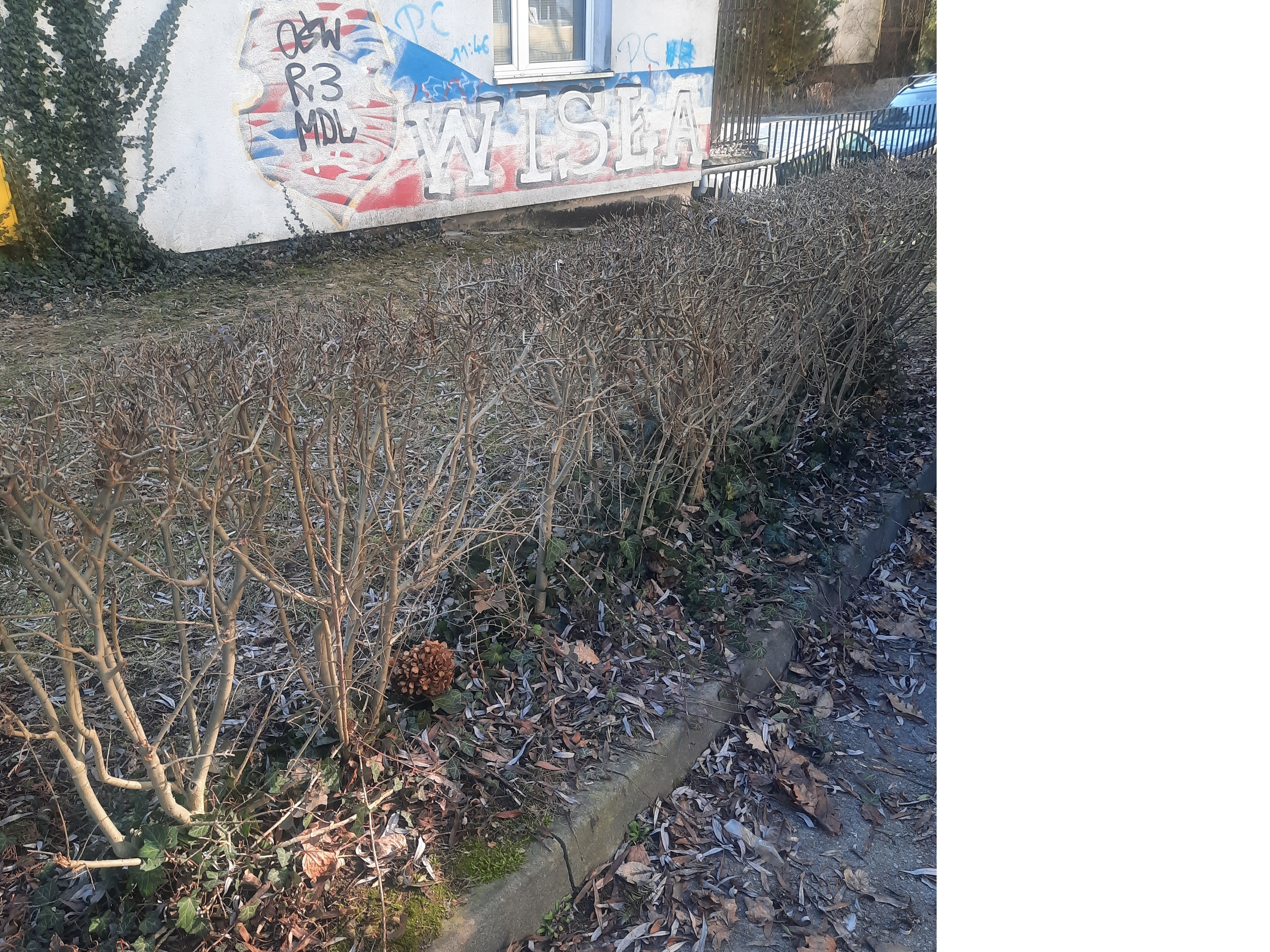 Zdjęcie przed zamalowaniem