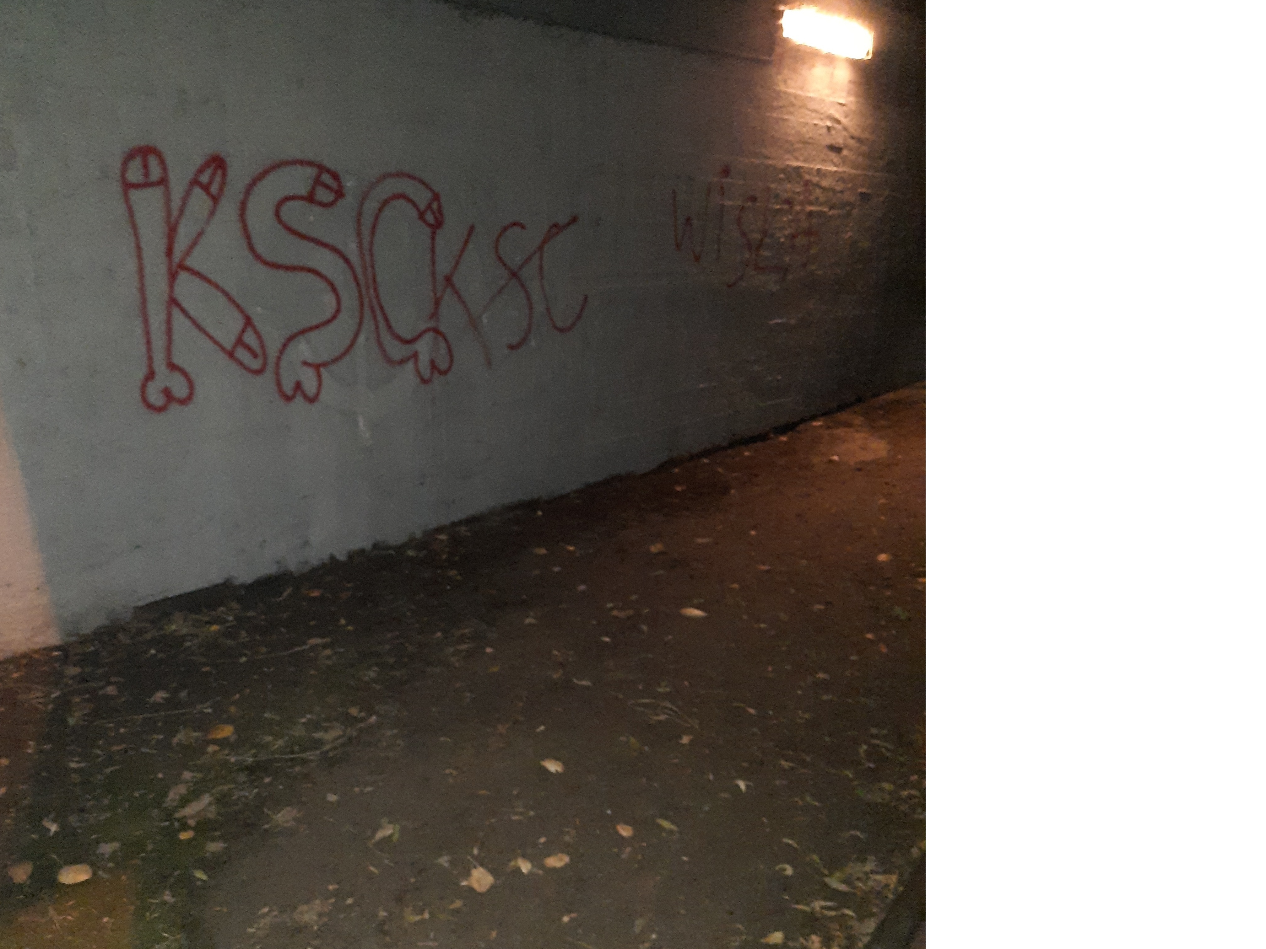 Zdjęcie przed zamalowaniem