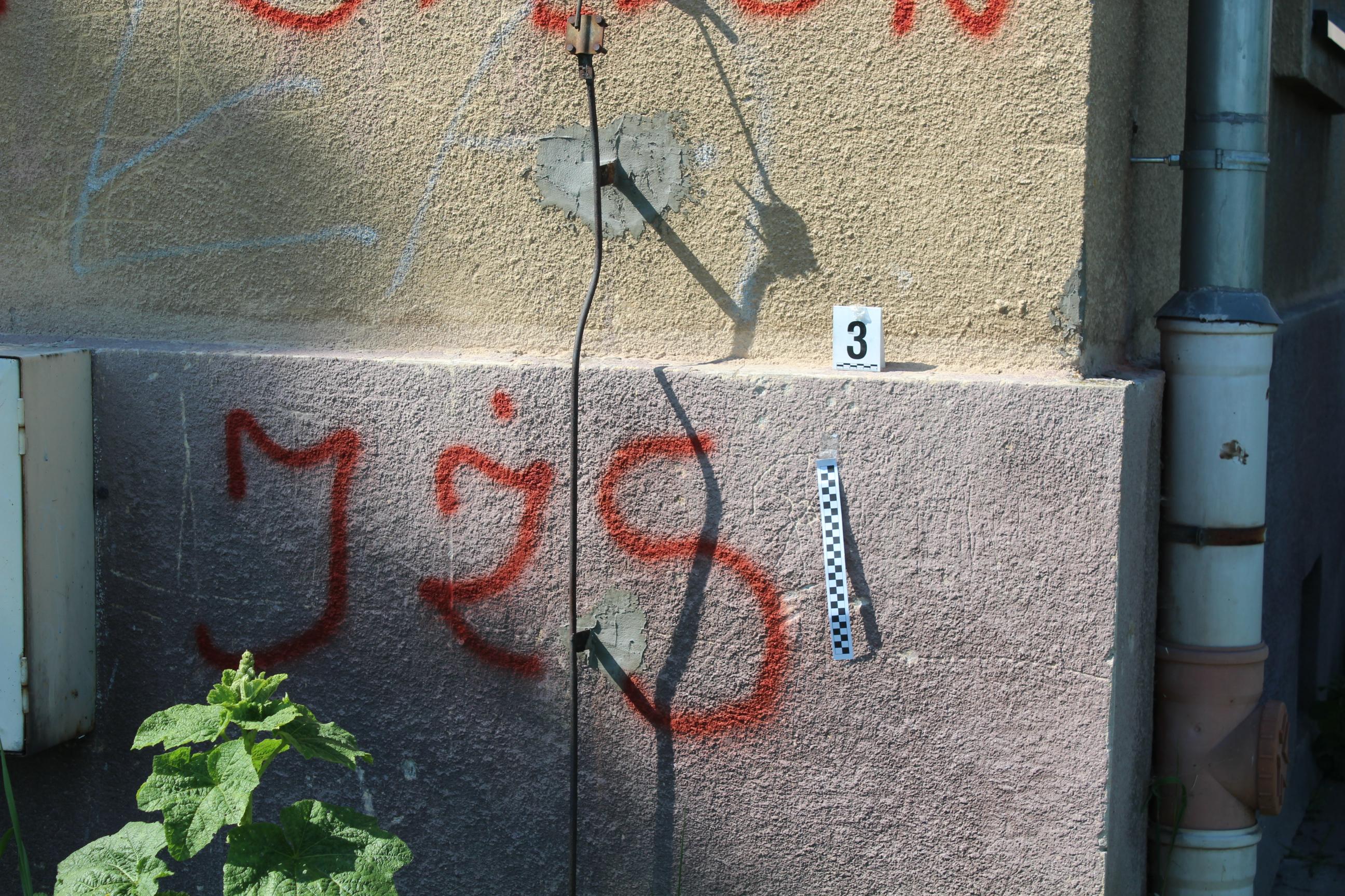 Zdjęcie przed zamalowaniem