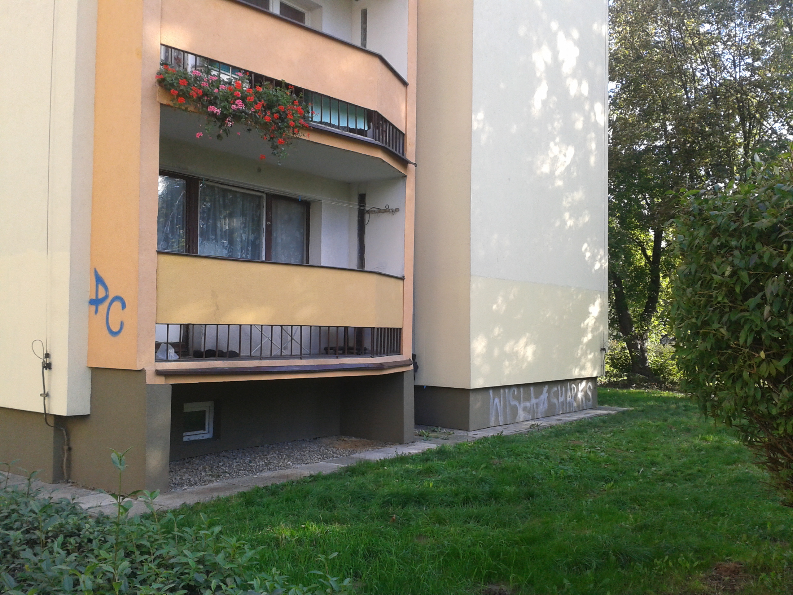 Zdjęcie po zamalowaniu
