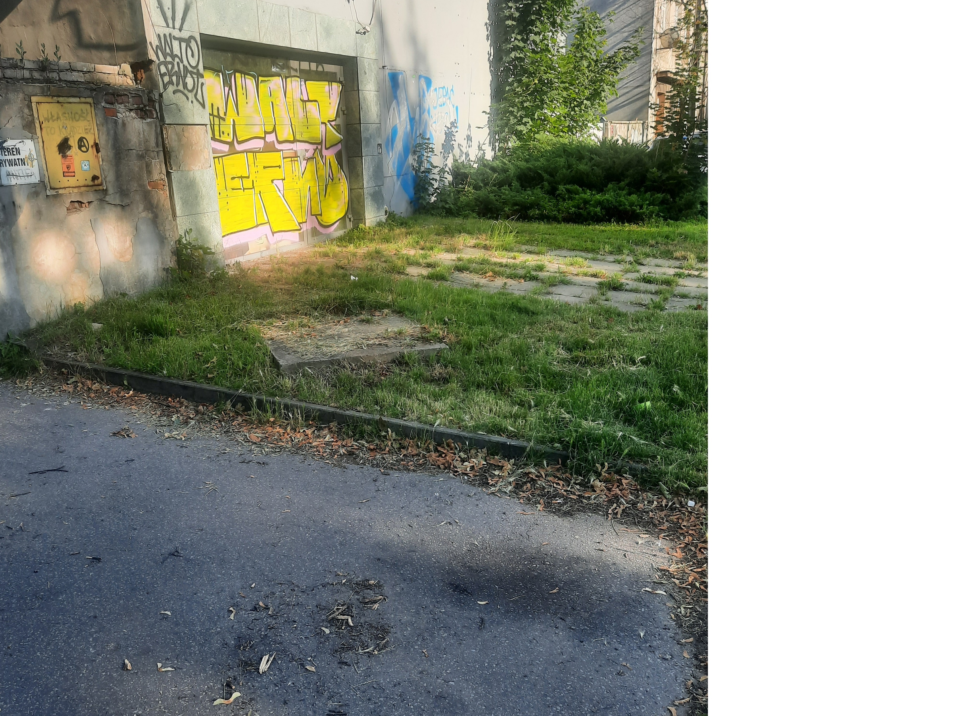 Zdjęcie przed zamalowaniem