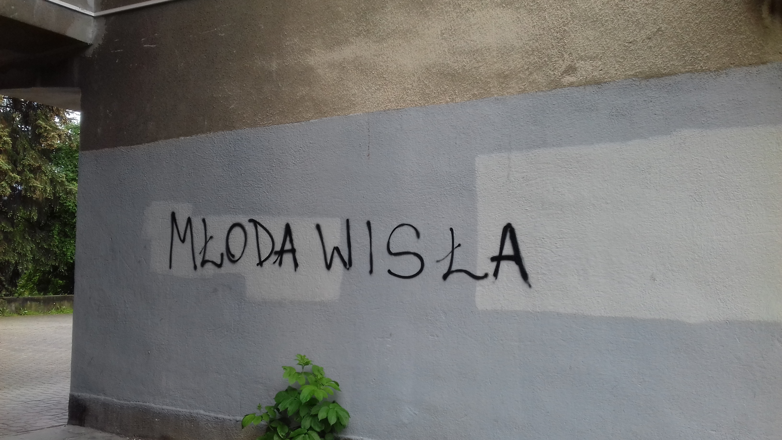 Zdjęcie przed zamalowaniem